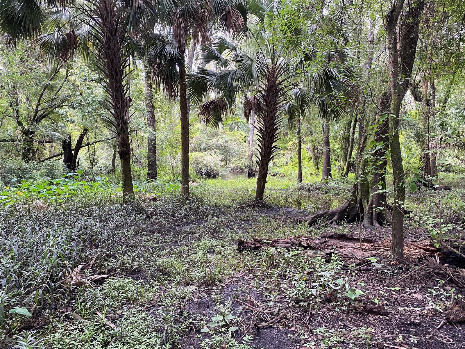 3139 RIVERDALE RD, ORLANDO, FL, 32817