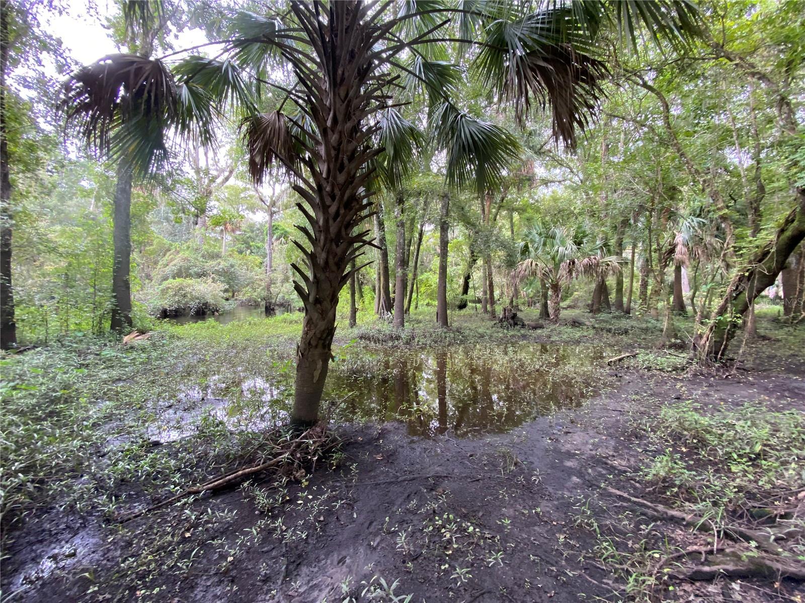 3139 RIVERDALE RD, ORLANDO, FL, 32817