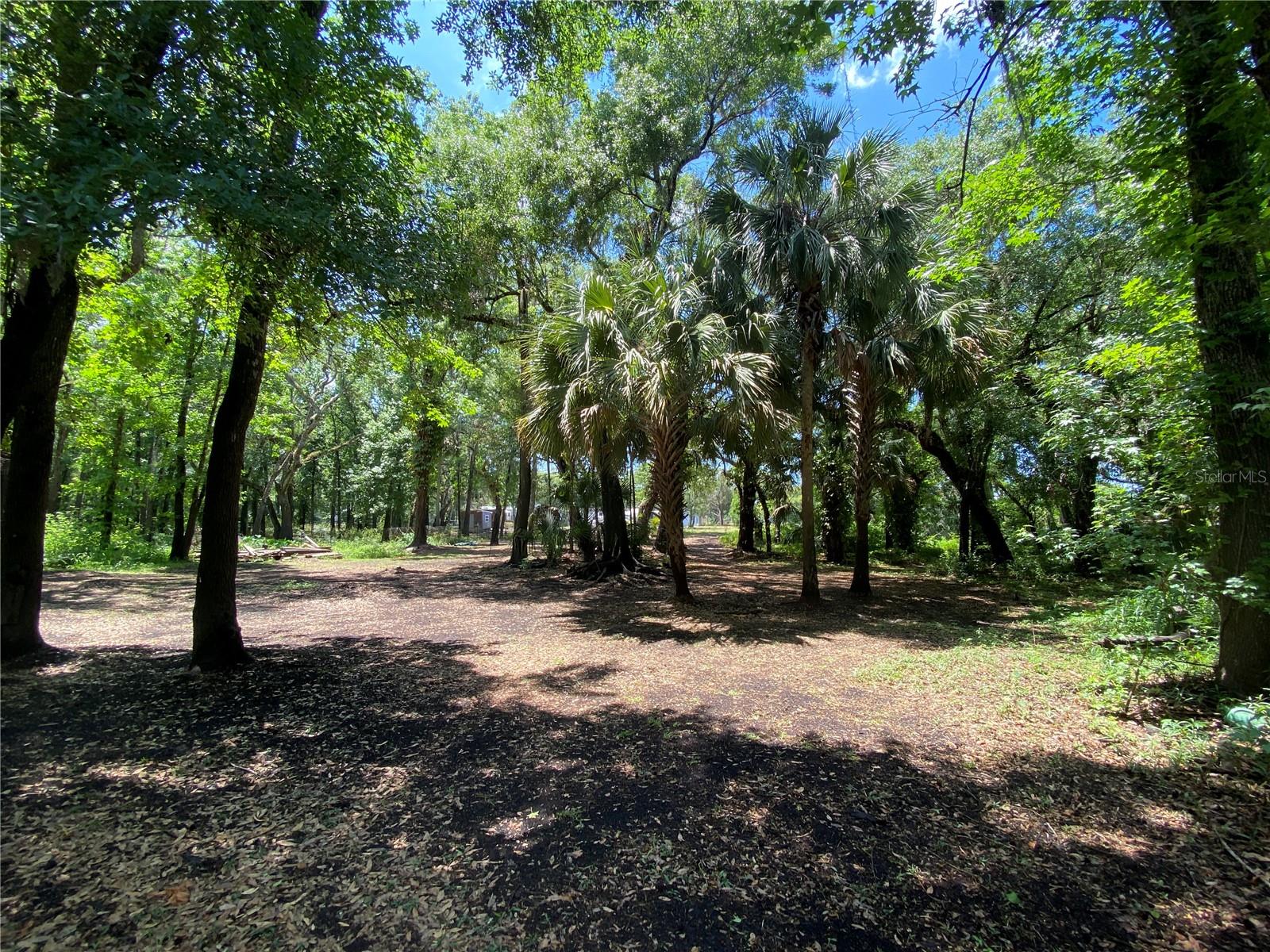 3139 RIVERDALE RD, ORLANDO, FL, 32817