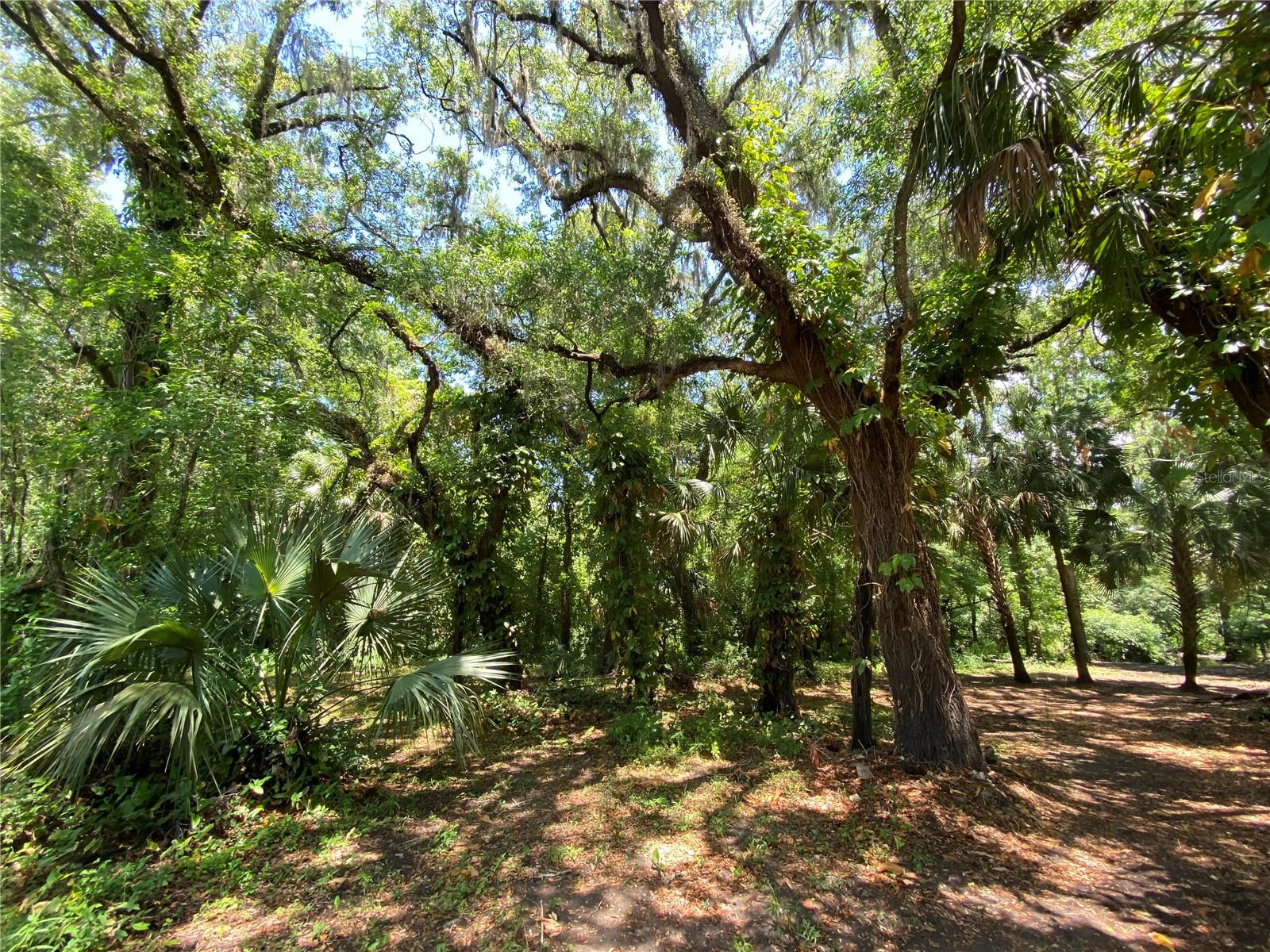 3139 RIVERDALE RD, ORLANDO, FL, 32817