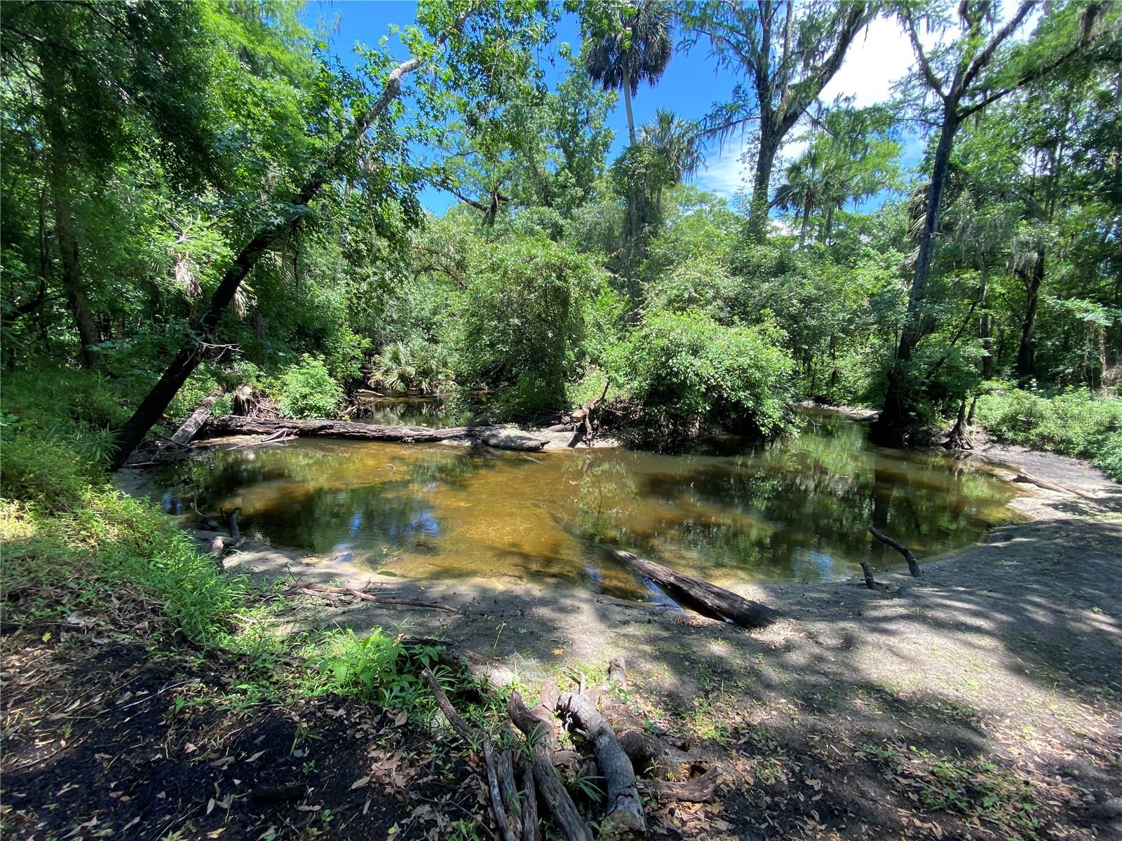 3139 RIVERDALE RD, ORLANDO, FL, 32817