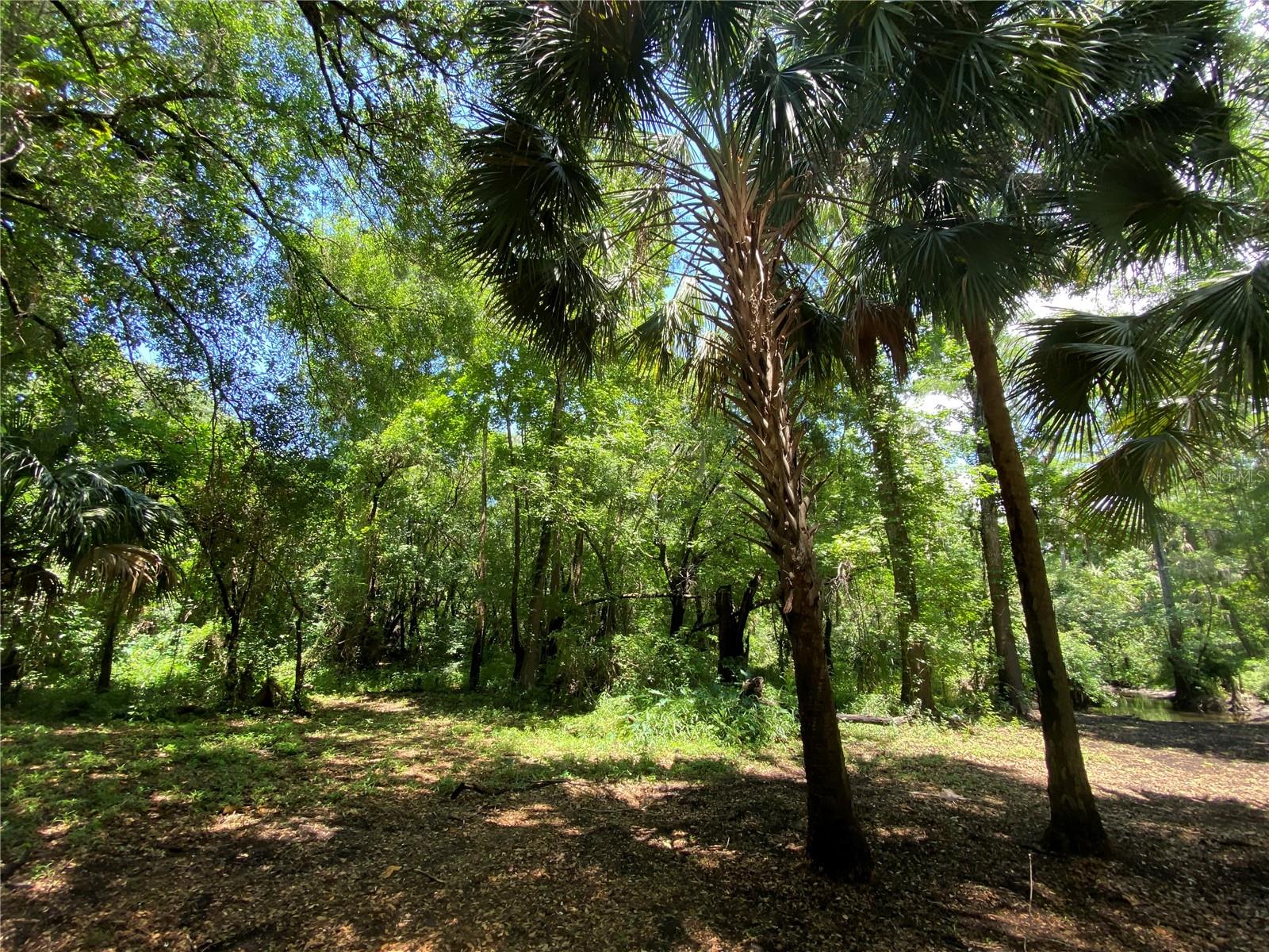 3139 RIVERDALE RD, ORLANDO, FL, 32817