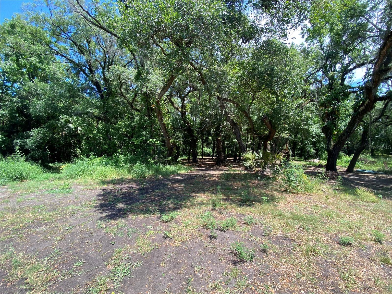 3139 RIVERDALE RD, ORLANDO, FL, 32817