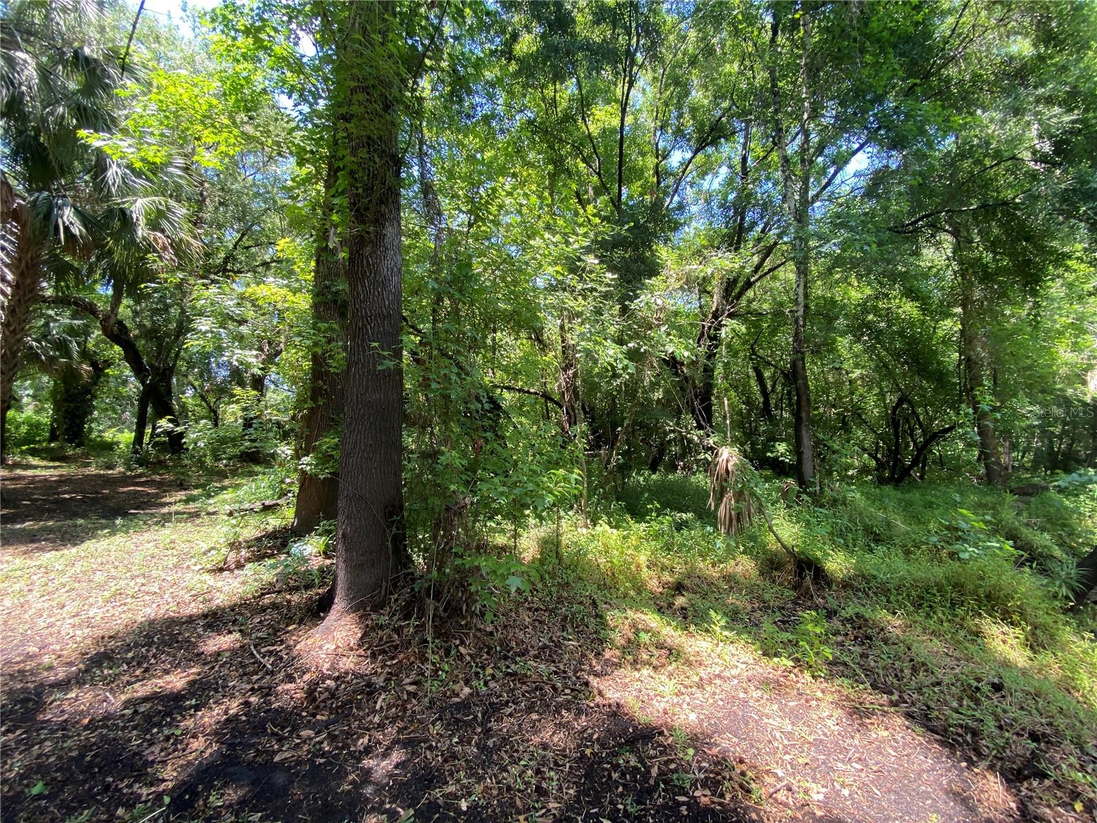 3139 RIVERDALE RD, ORLANDO, FL, 32817