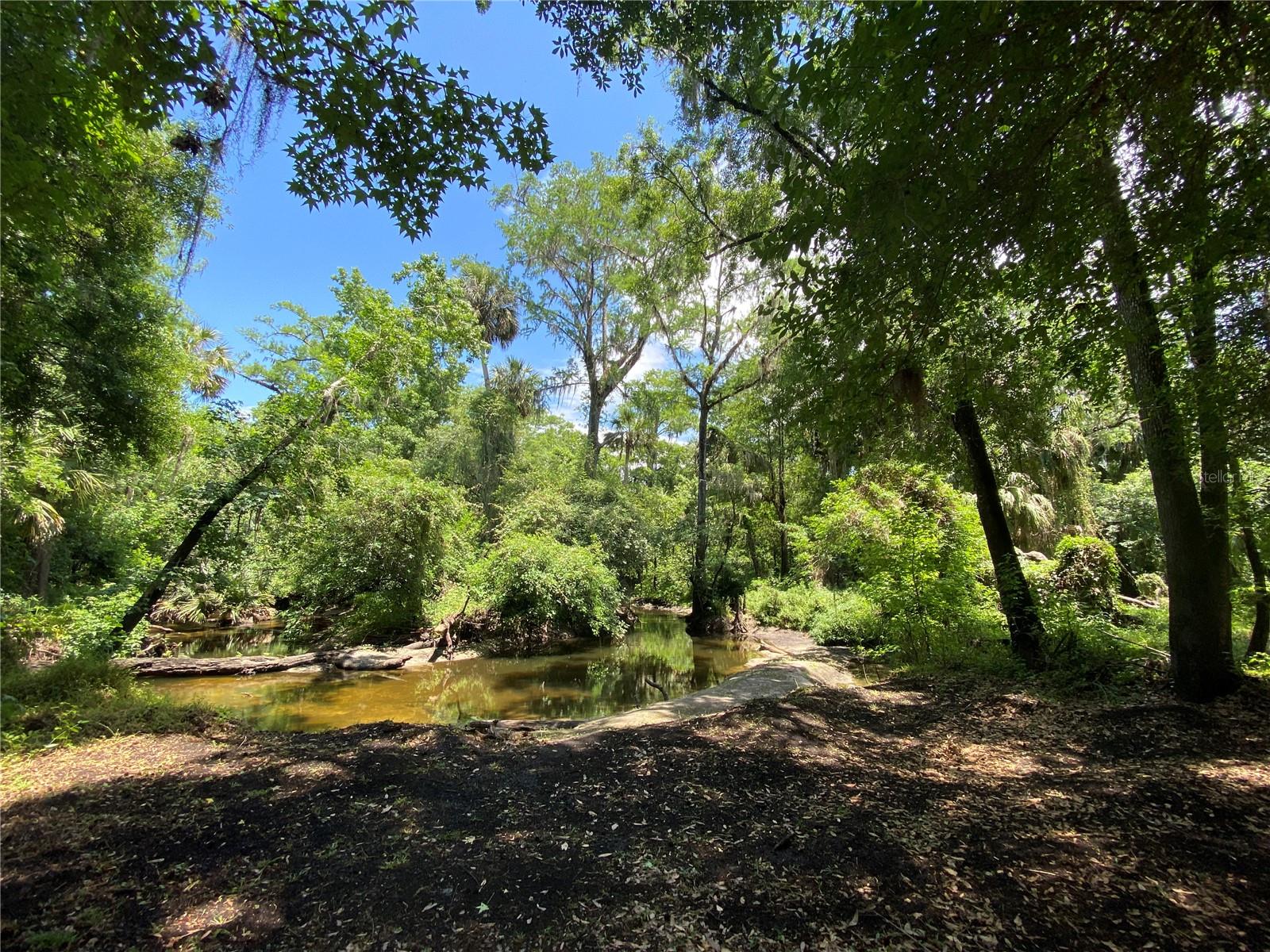 3139 RIVERDALE RD, ORLANDO, FL, 32817