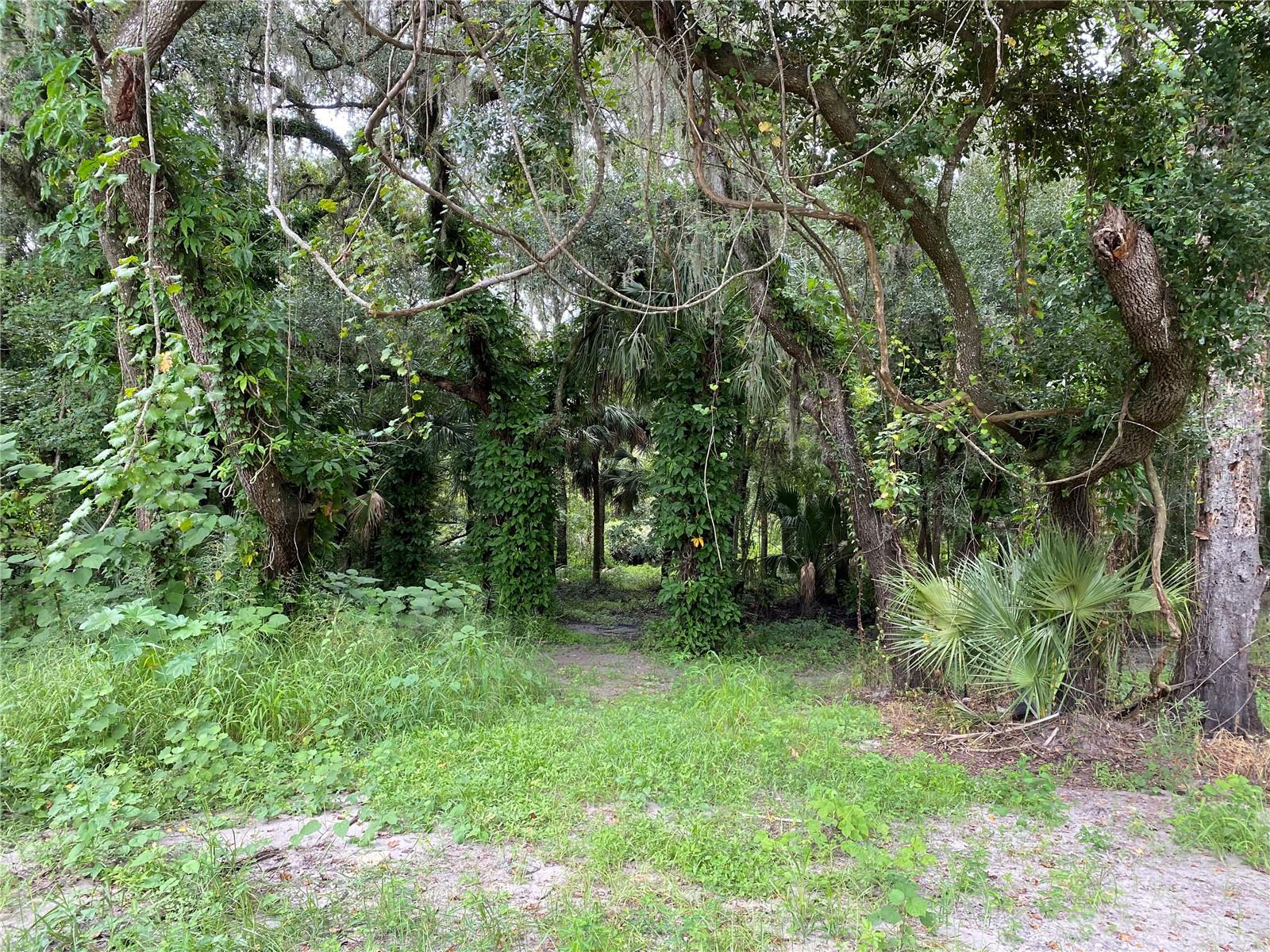 3139 RIVERDALE RD, ORLANDO, FL, 32817
