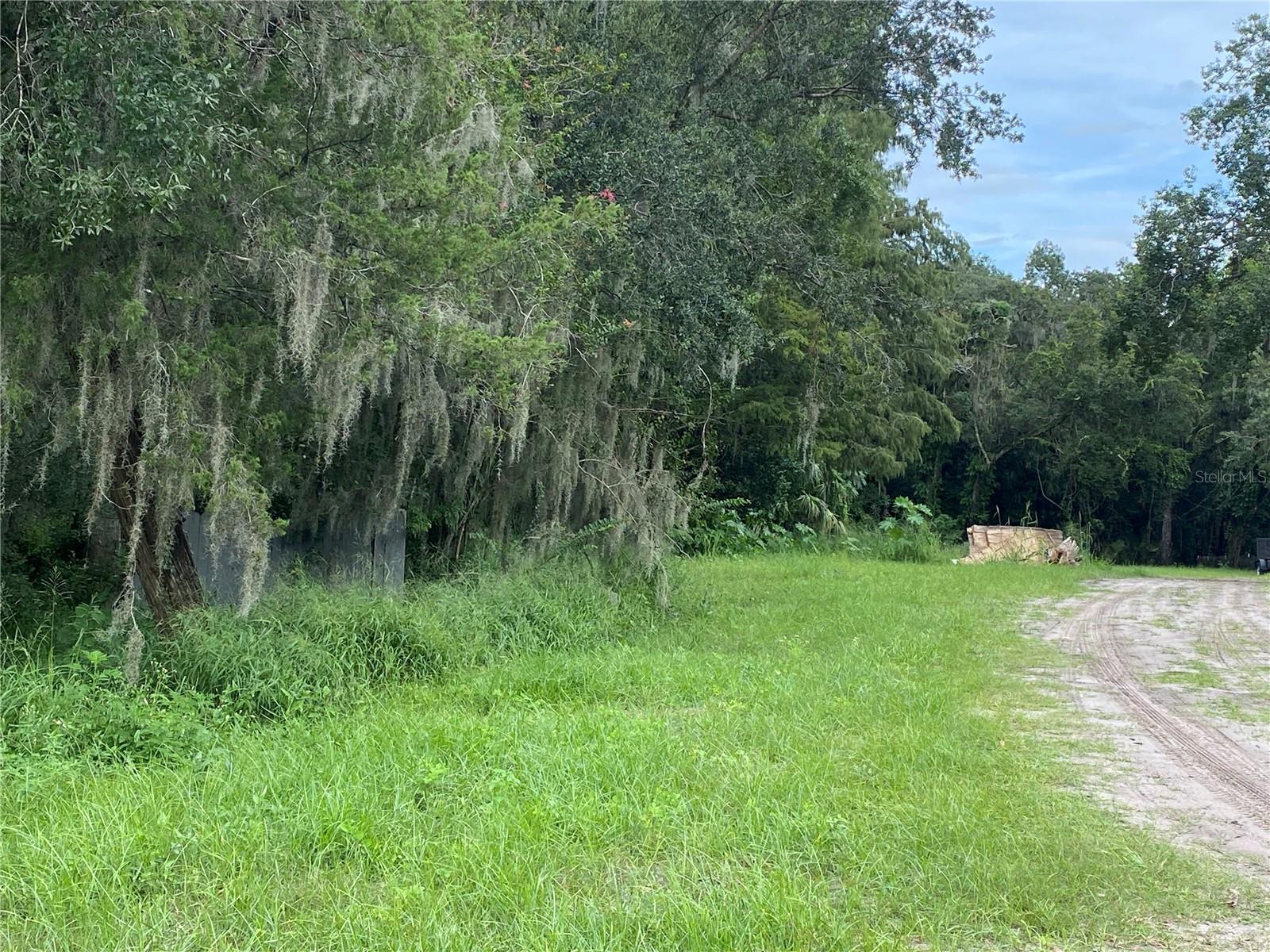 3139 RIVERDALE RD, ORLANDO, FL, 32817