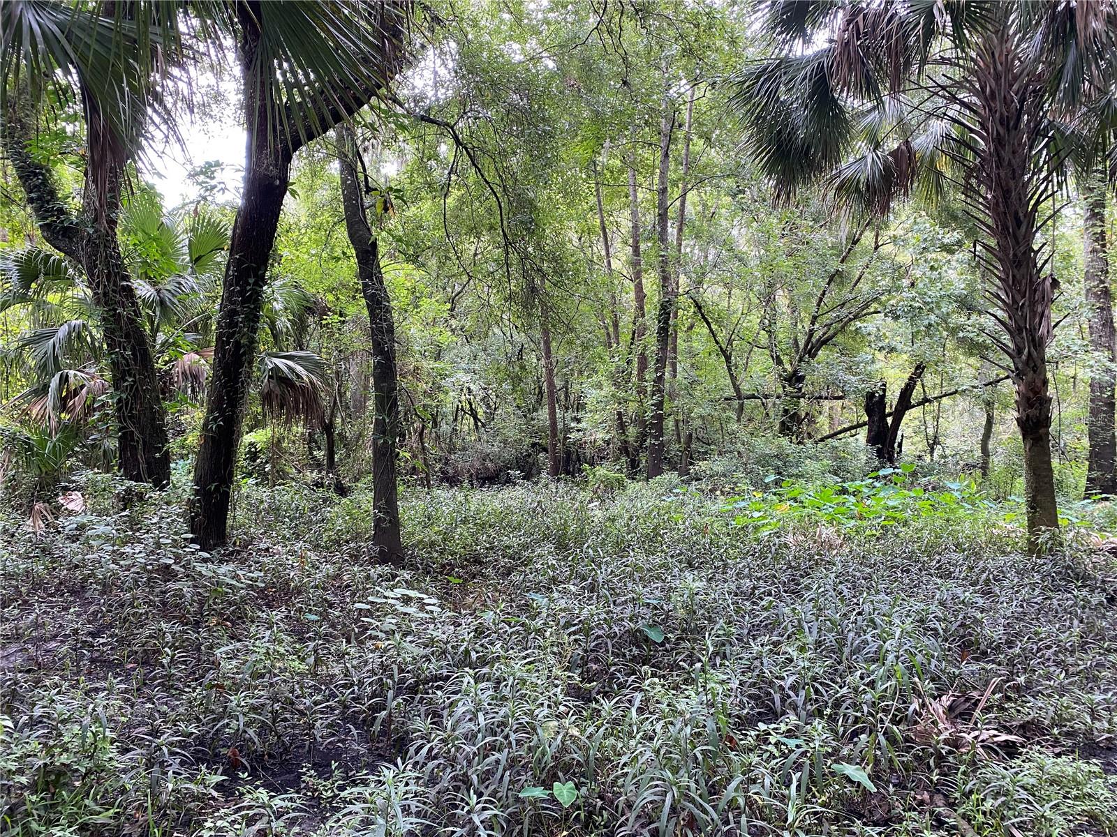 3139 RIVERDALE RD, ORLANDO, FL, 32817
