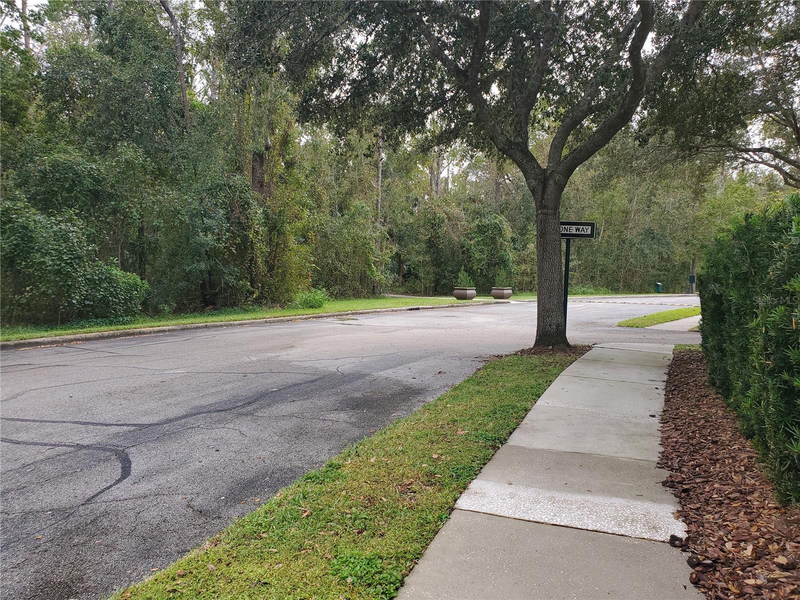 714 SIENA PALM DR #205, KISSIMMEE, FL, 34747