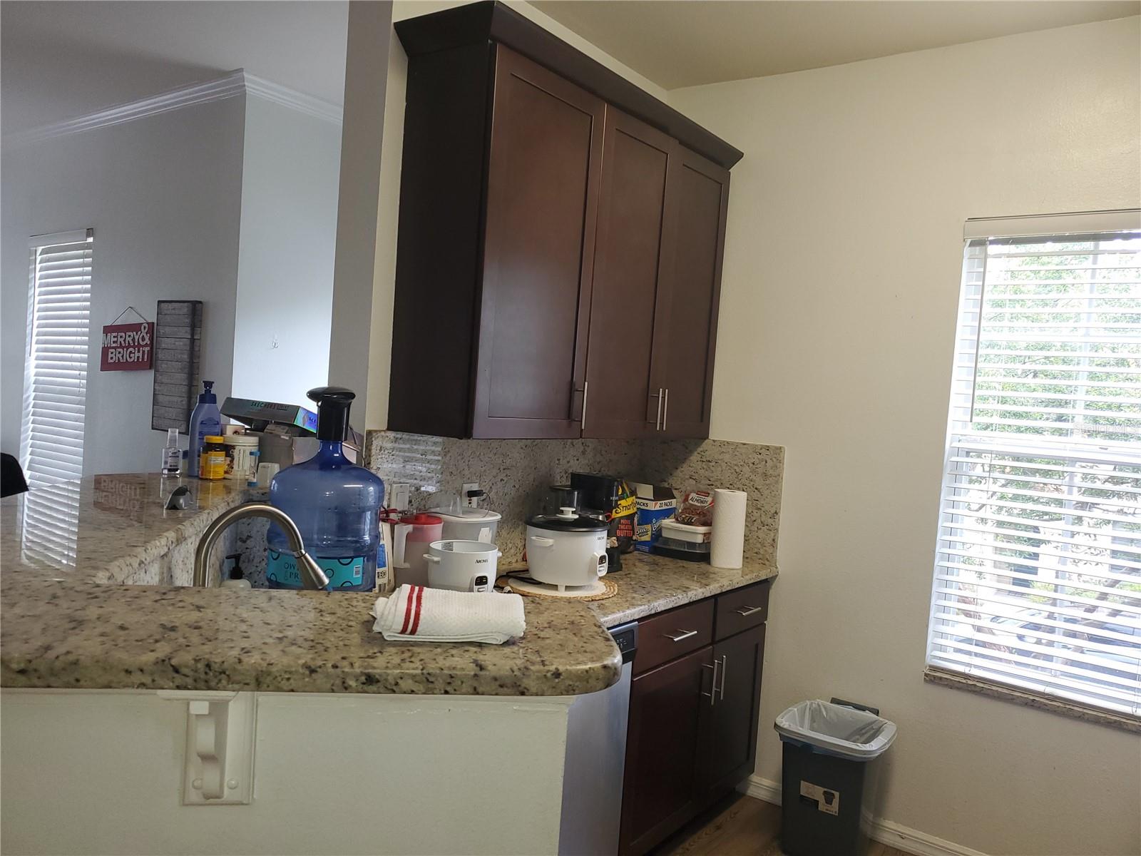 714 SIENA PALM DR #205, KISSIMMEE, FL, 34747
