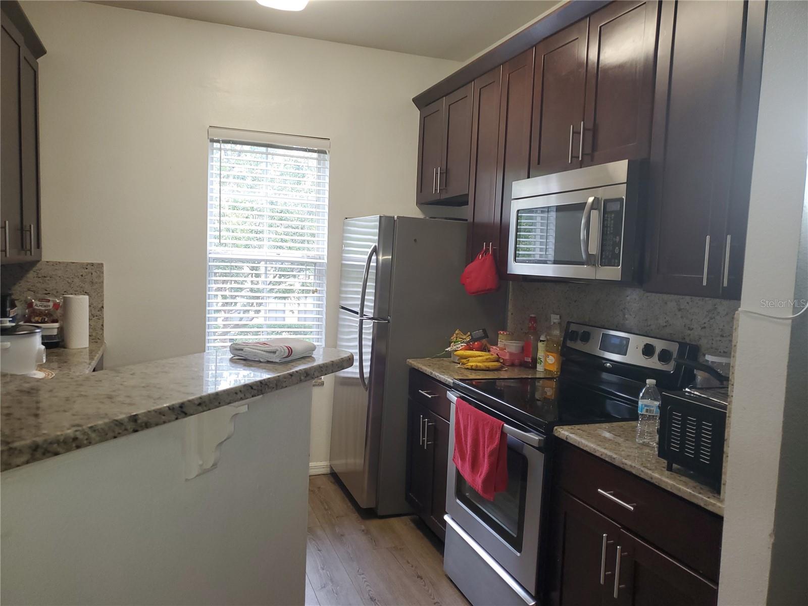 714 SIENA PALM DR #205, KISSIMMEE, FL, 34747