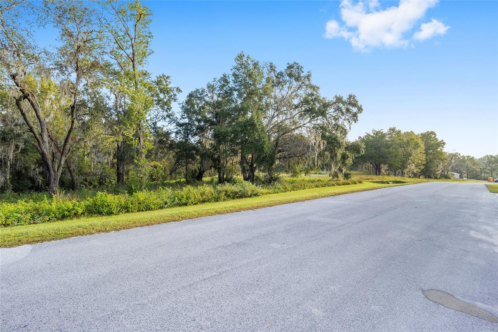 NW 101ST STREET RD, OCALA, FL, 34482