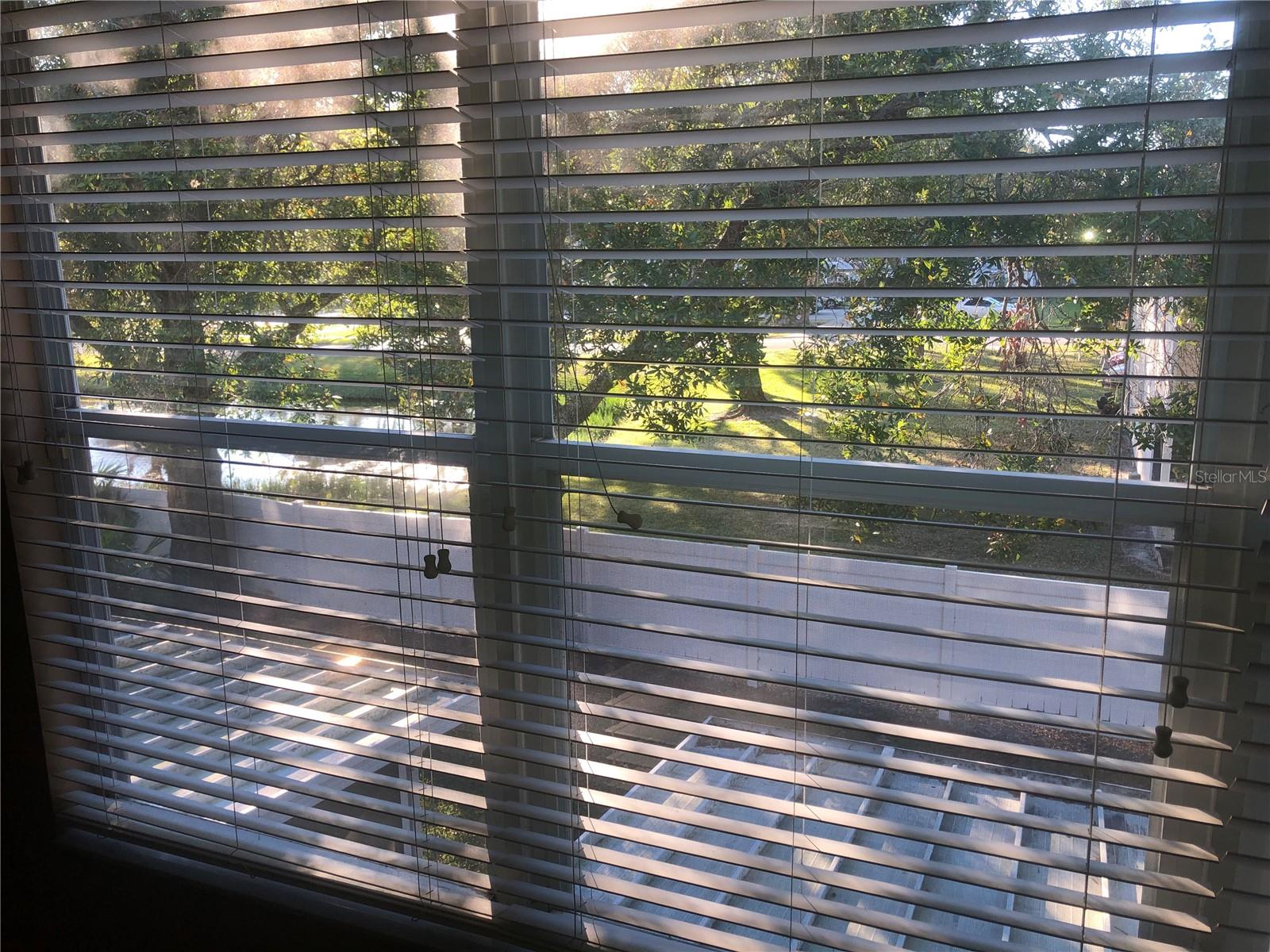 8456 SANDY BEACH ST, TAMPA, FL, 33634