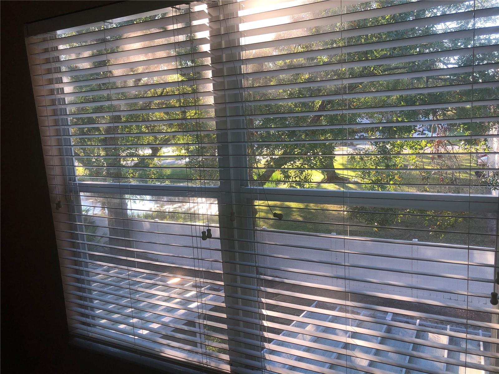 8456 SANDY BEACH ST, TAMPA, FL, 33634