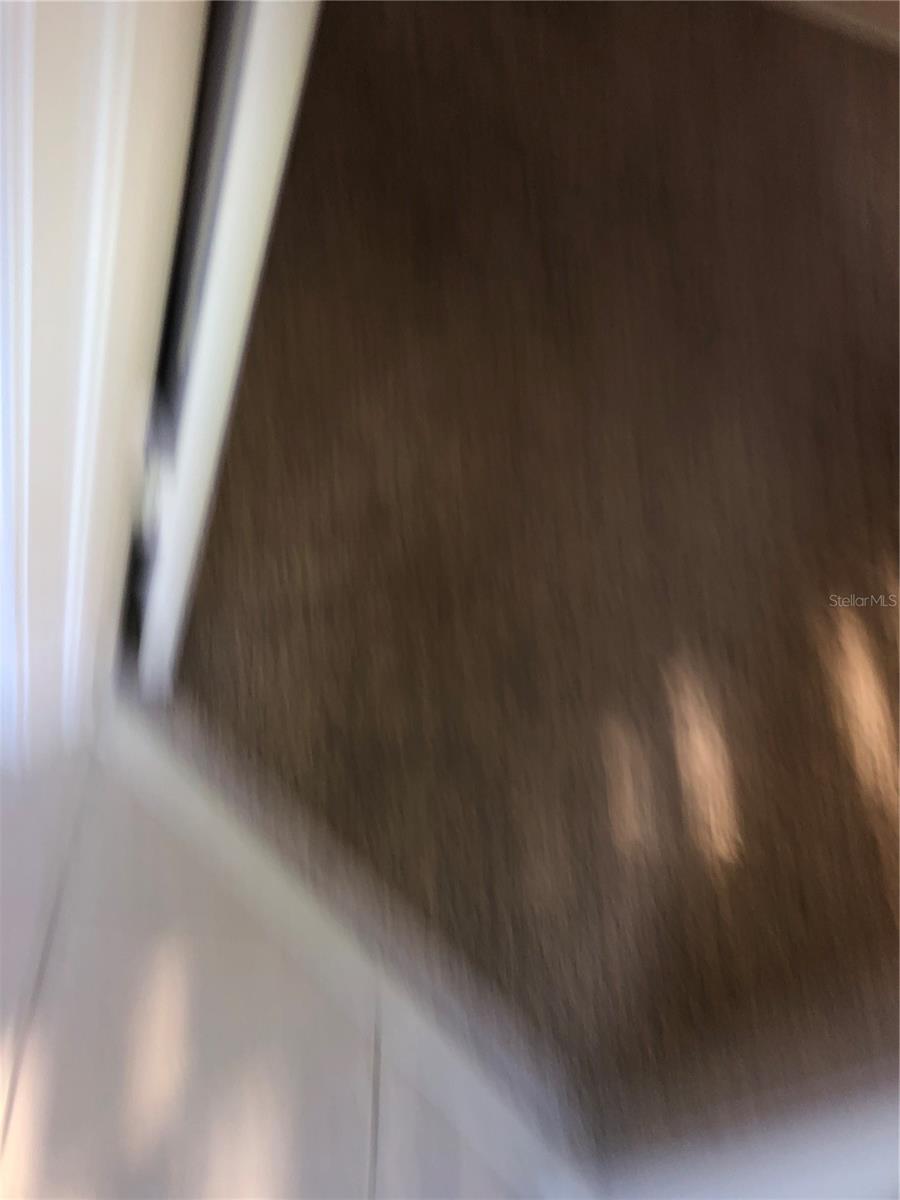 8456 SANDY BEACH ST, TAMPA, FL, 33634