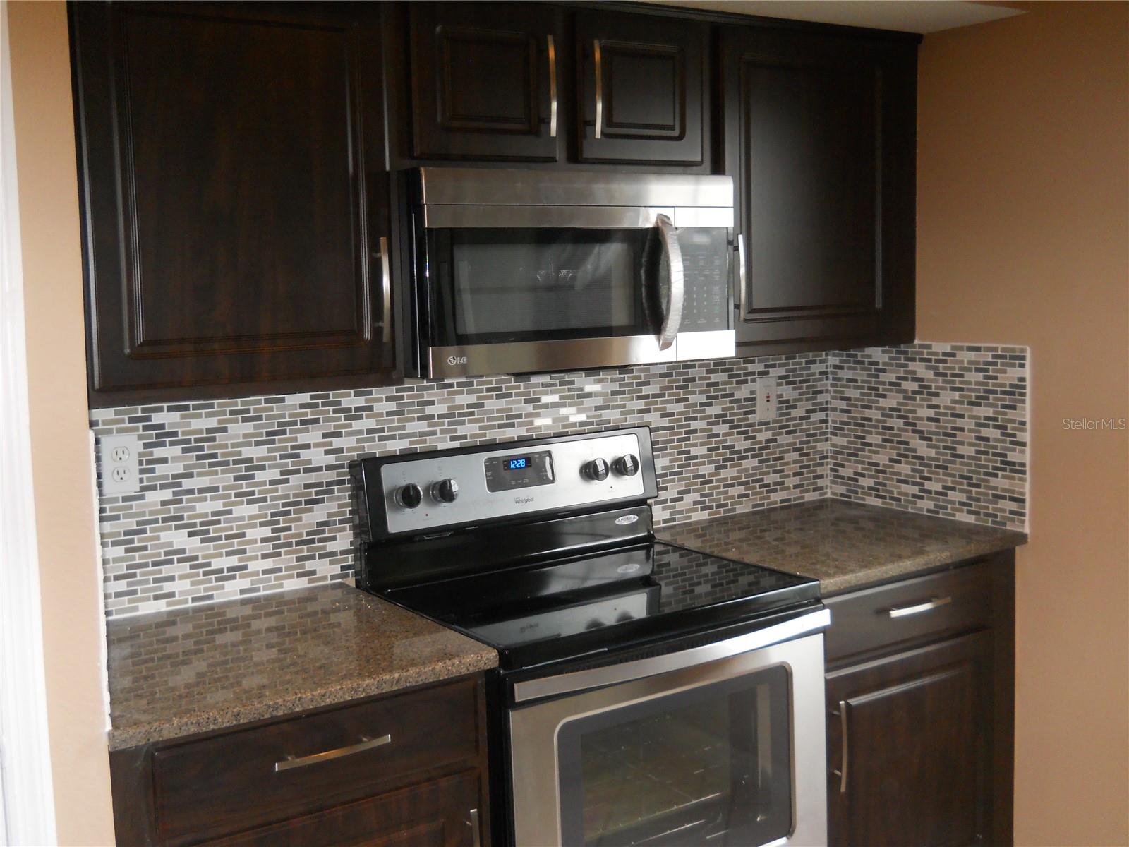 9638 LAKE CHASE ISLAND WAY, TAMPA, FL, 33626