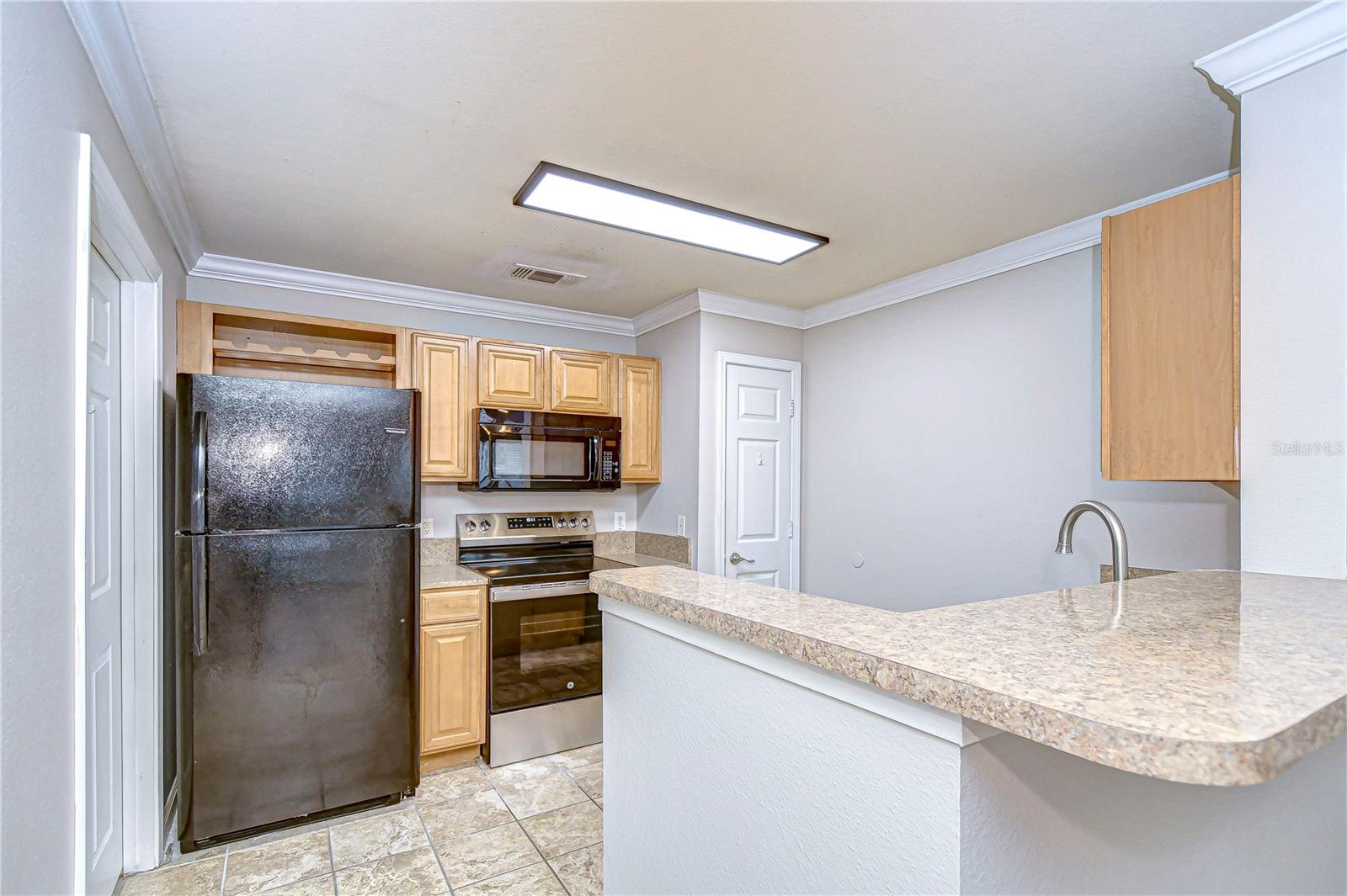 18163 BRIDLE CLUB DR #18163, TAMPA, FL, 33647