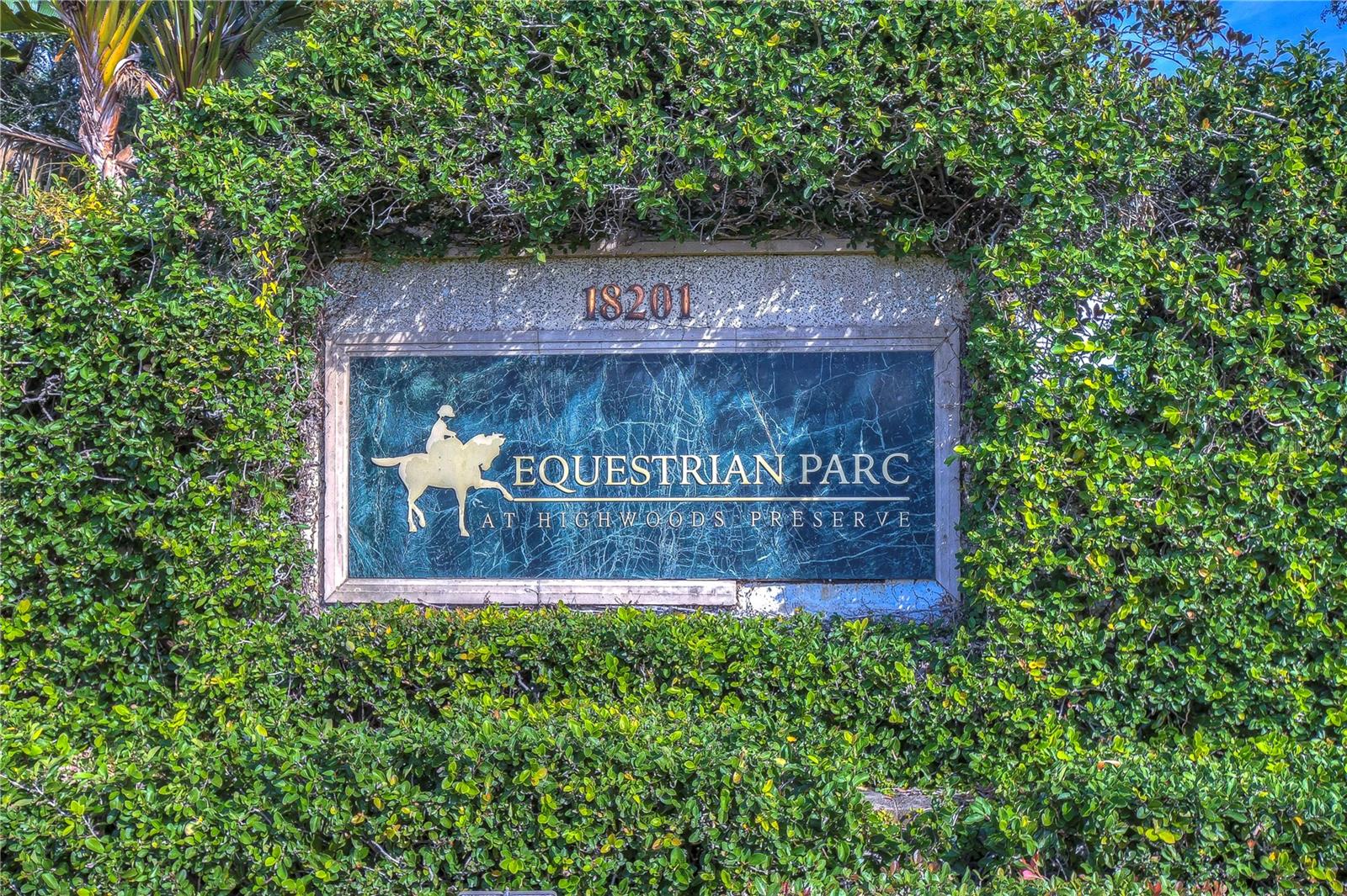 18163 BRIDLE CLUB DR #18163, TAMPA, FL, 33647