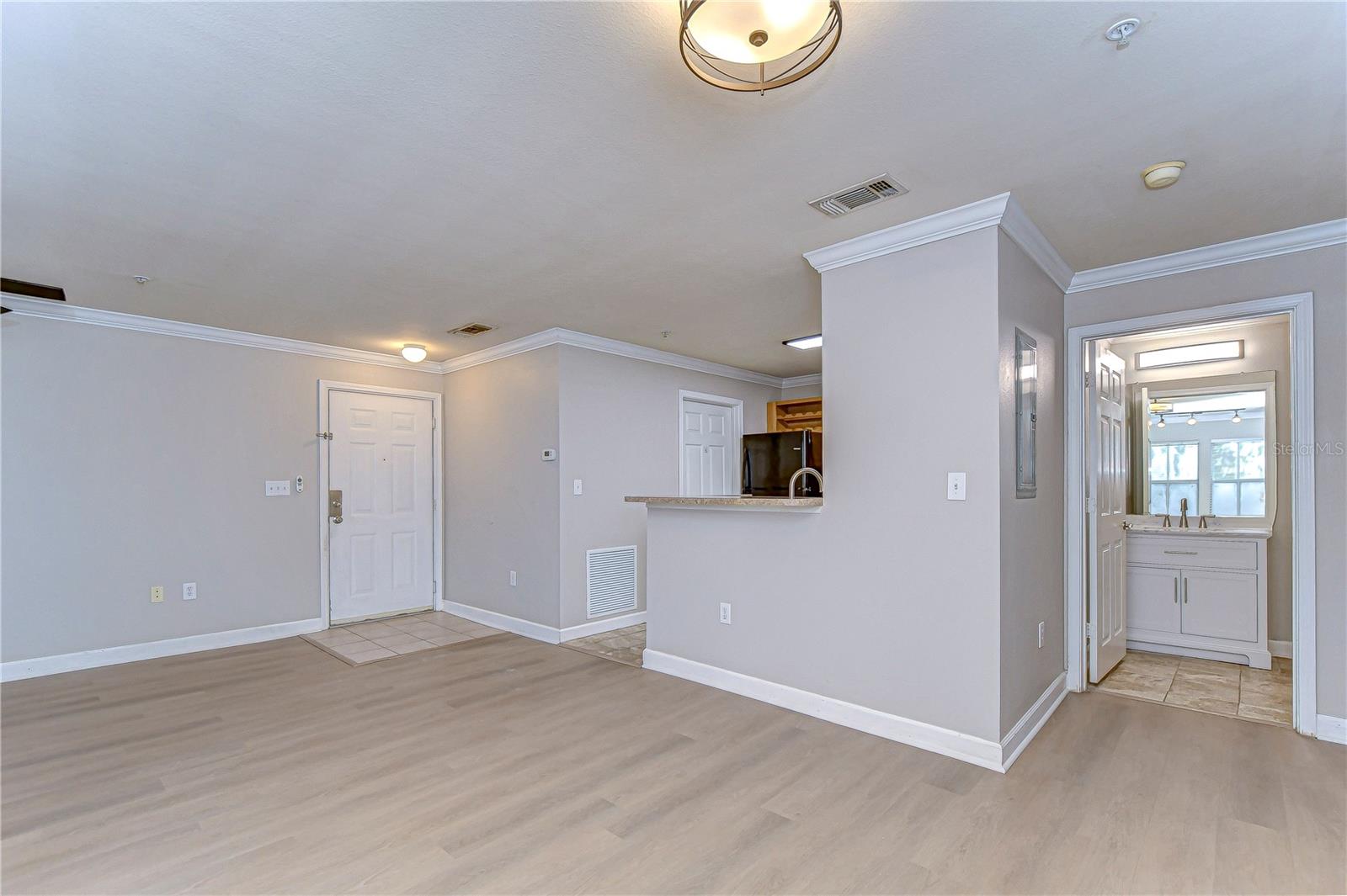 18163 BRIDLE CLUB DR #18163, TAMPA, FL, 33647