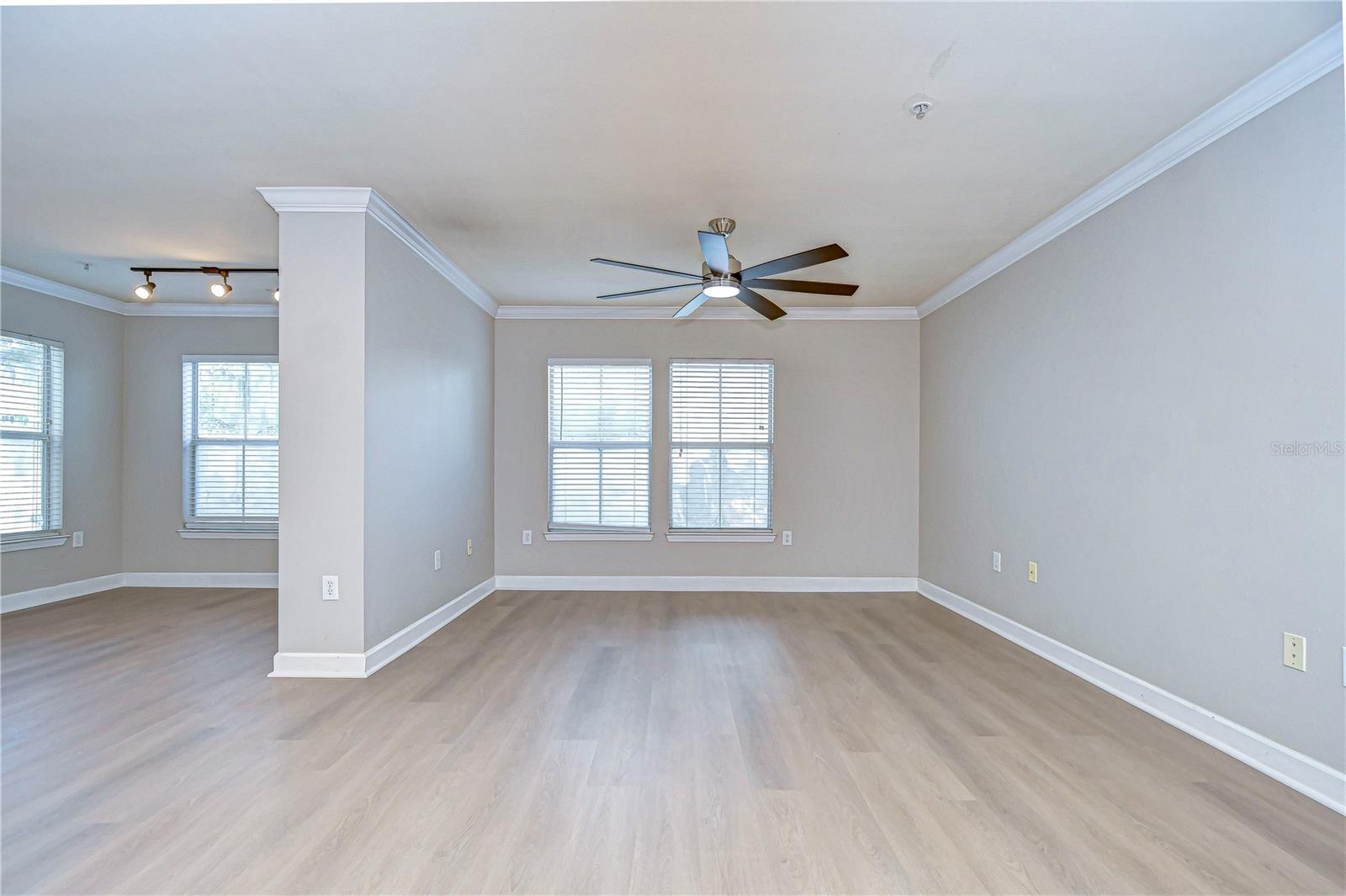 18163 BRIDLE CLUB DR #18163, TAMPA, FL, 33647