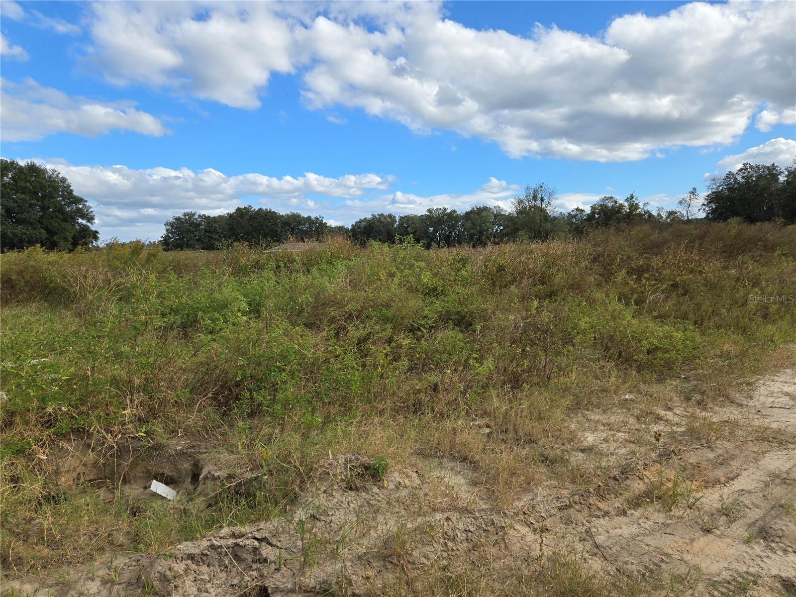 83 N BUCHANNON TER, INVERNESS, FL, 34450