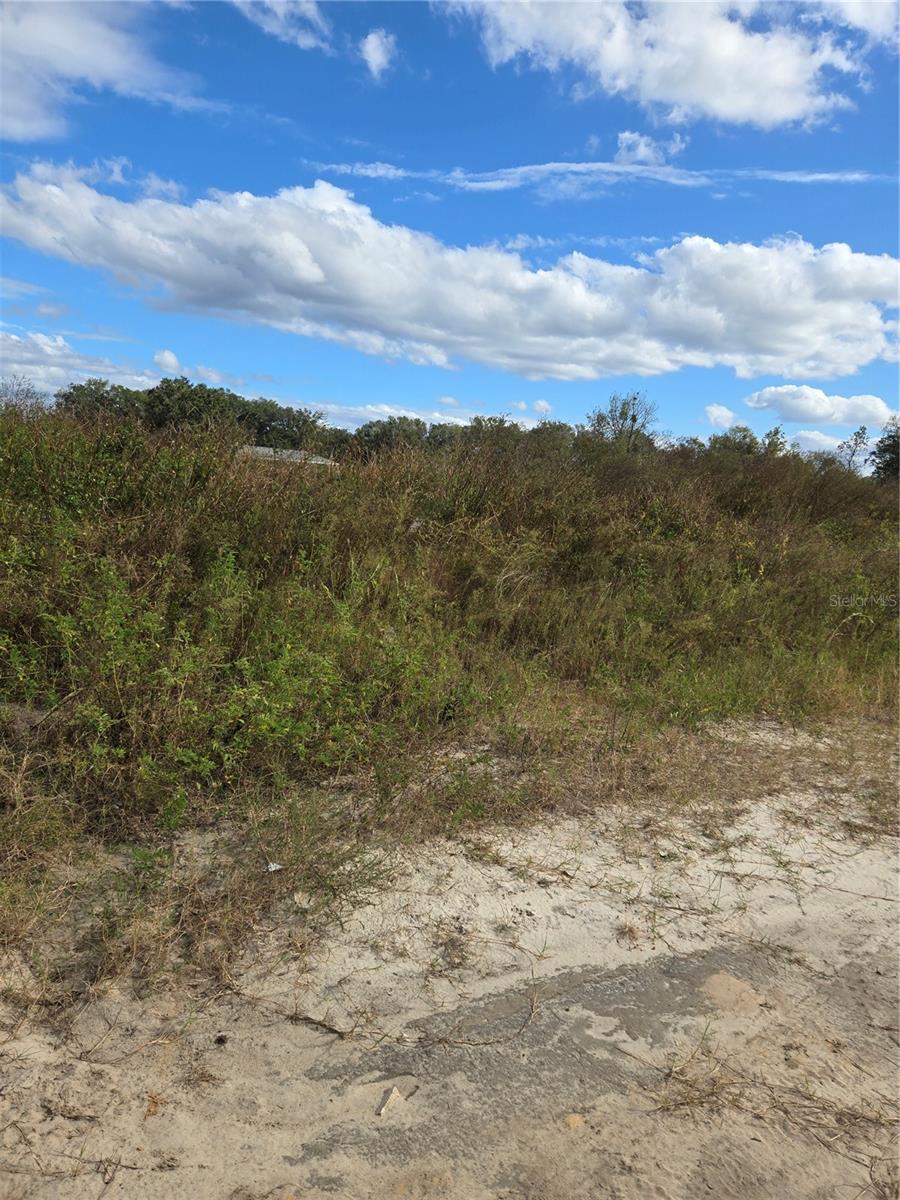 83 N BUCHANNON TER, INVERNESS, FL, 34450