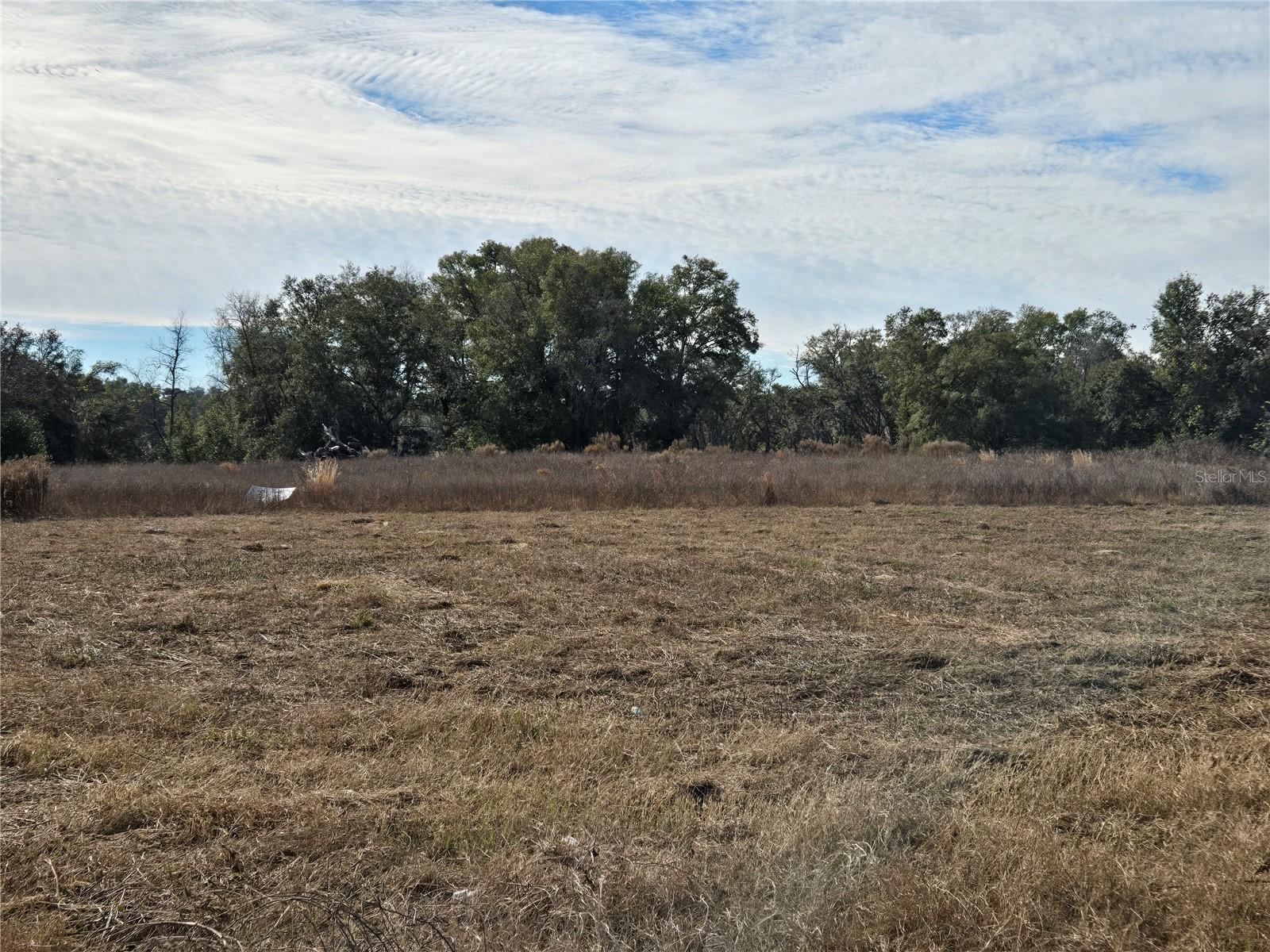 83 N BUCHANNON TER, INVERNESS, FL, 34450