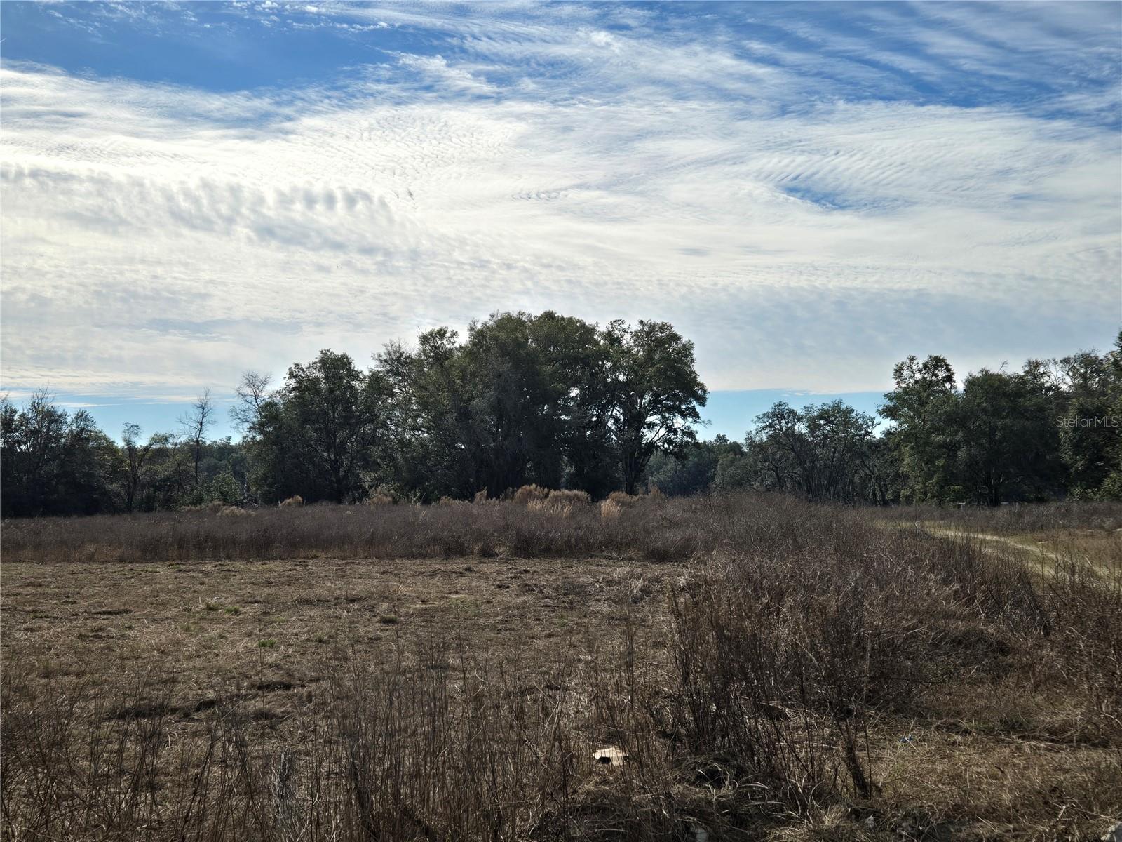 83 N BUCHANNON TER, INVERNESS, FL, 34450