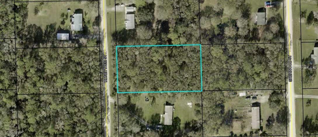 1167 HONEYTREE ST, BUNNELL, FL, 32110