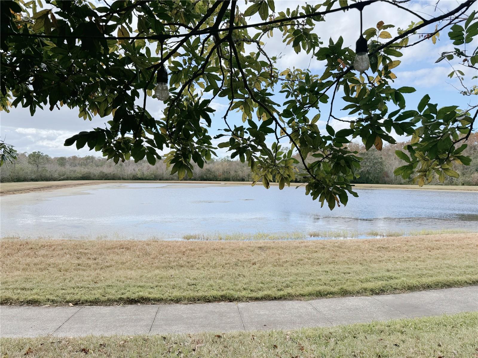 12618 WINFIELD SCOTT BLVD, ORLANDO, FL, 32837