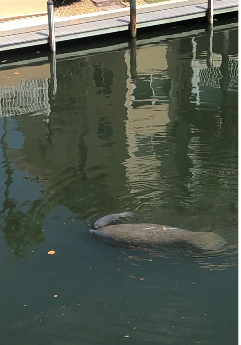 1215 S PORTOFINO DR #404, SARASOTA, FL, 34242