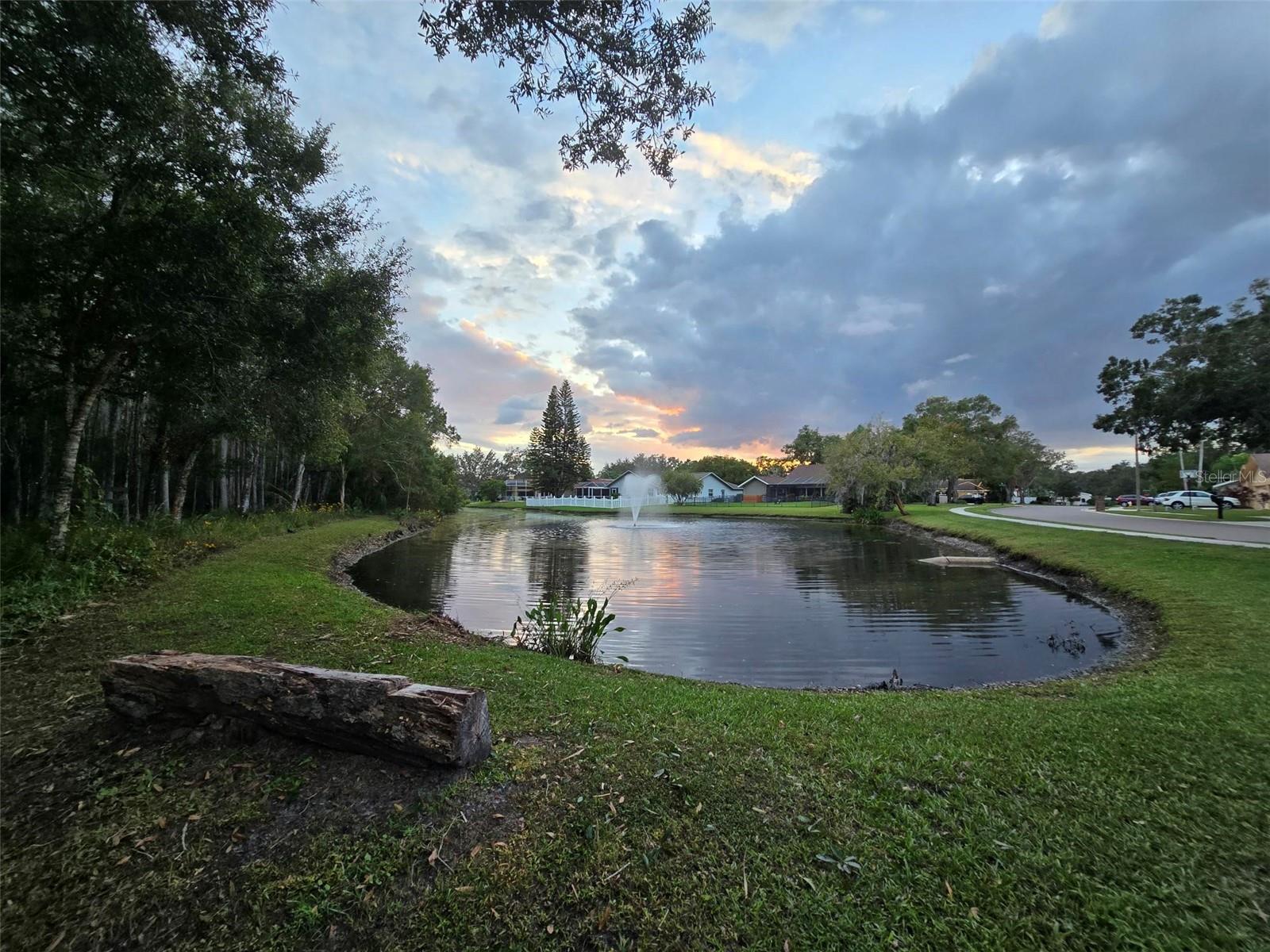 5476 OAKRIDGE DR, PALM HARBOR, FL, 34685
