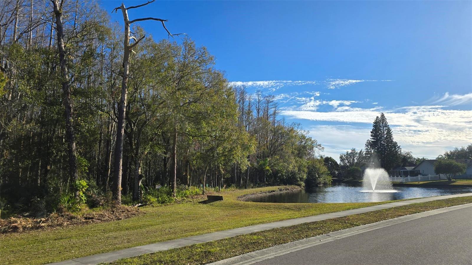 5476 OAKRIDGE DR, PALM HARBOR, FL, 34685