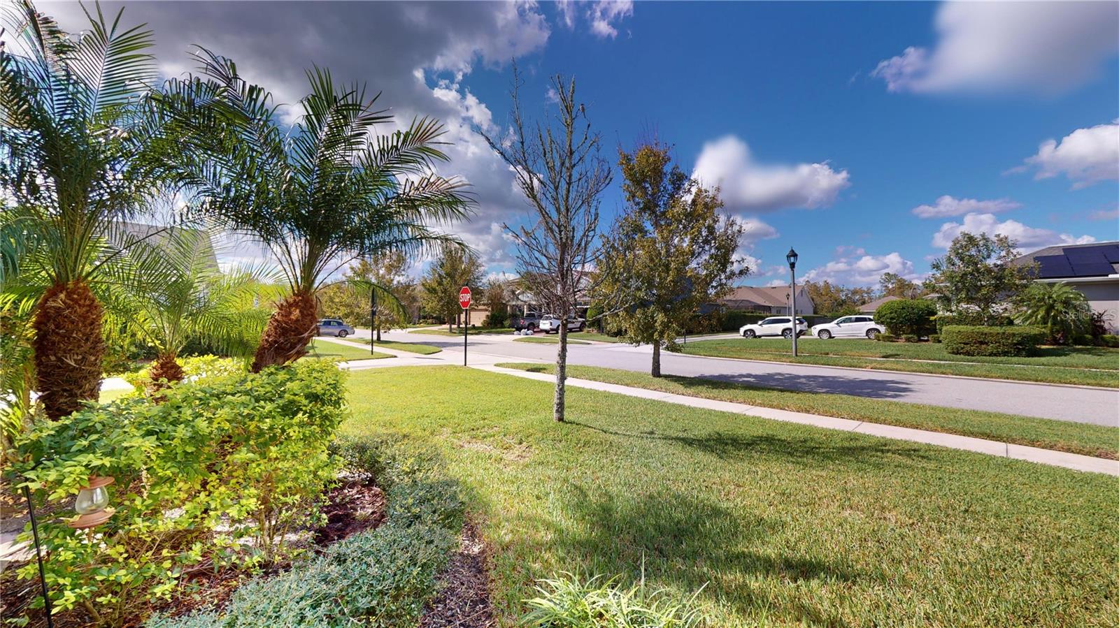 4077 BROAD PORCH RUN, LAND O LAKES, FL, 34638