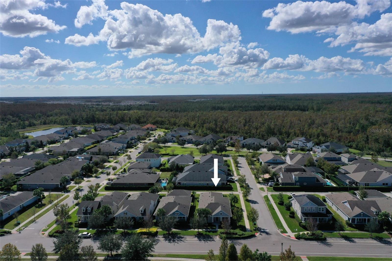 4077 BROAD PORCH RUN, LAND O LAKES, FL, 34638
