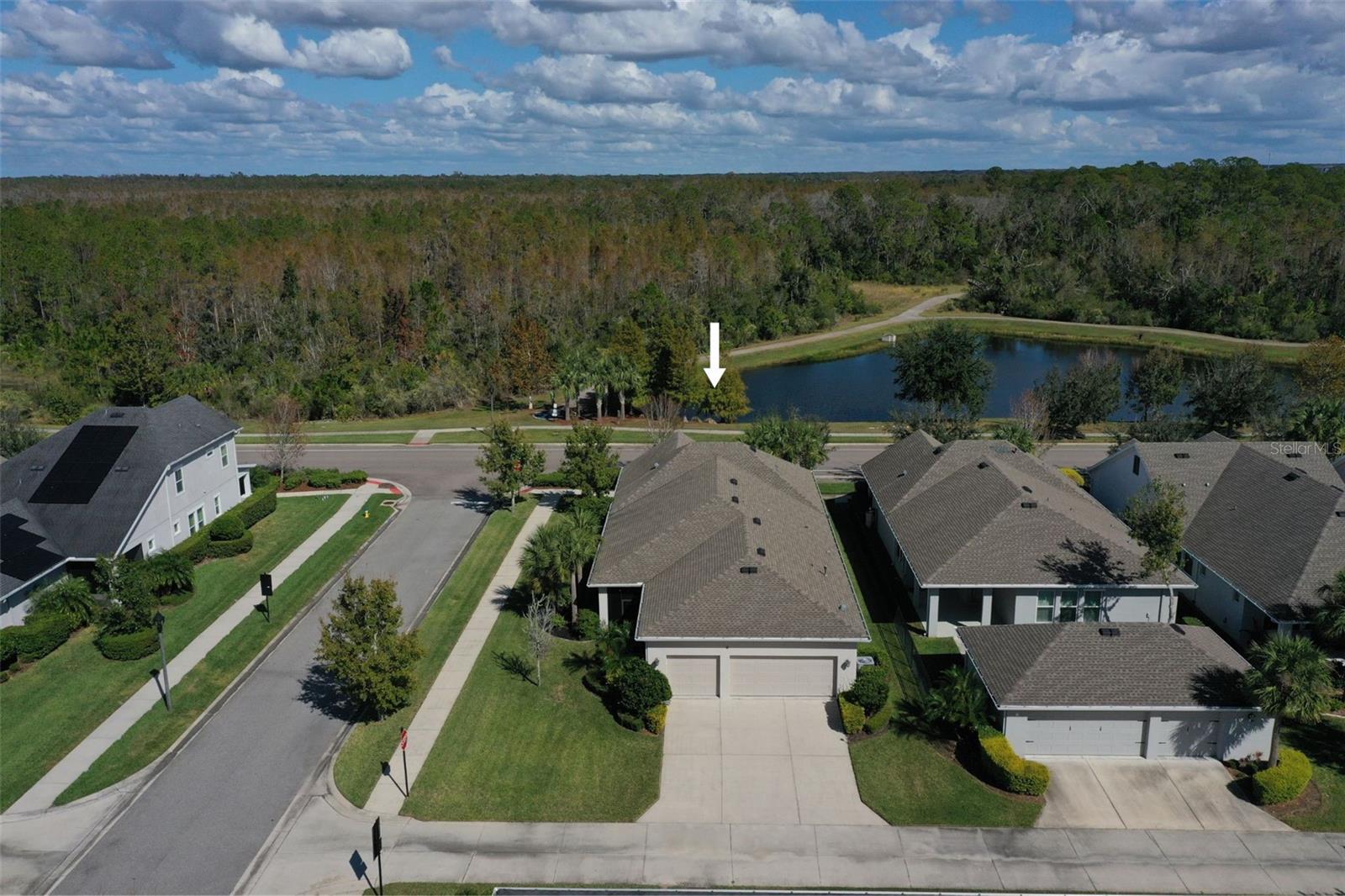 4077 BROAD PORCH RUN, LAND O LAKES, FL, 34638