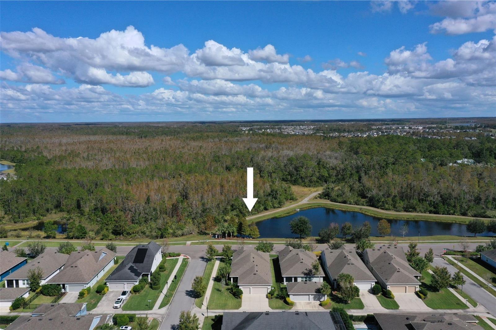 4077 BROAD PORCH RUN, LAND O LAKES, FL, 34638