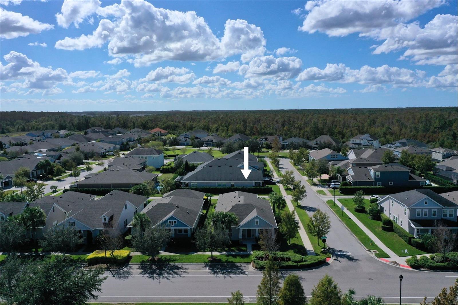 4077 BROAD PORCH RUN, LAND O LAKES, FL, 34638