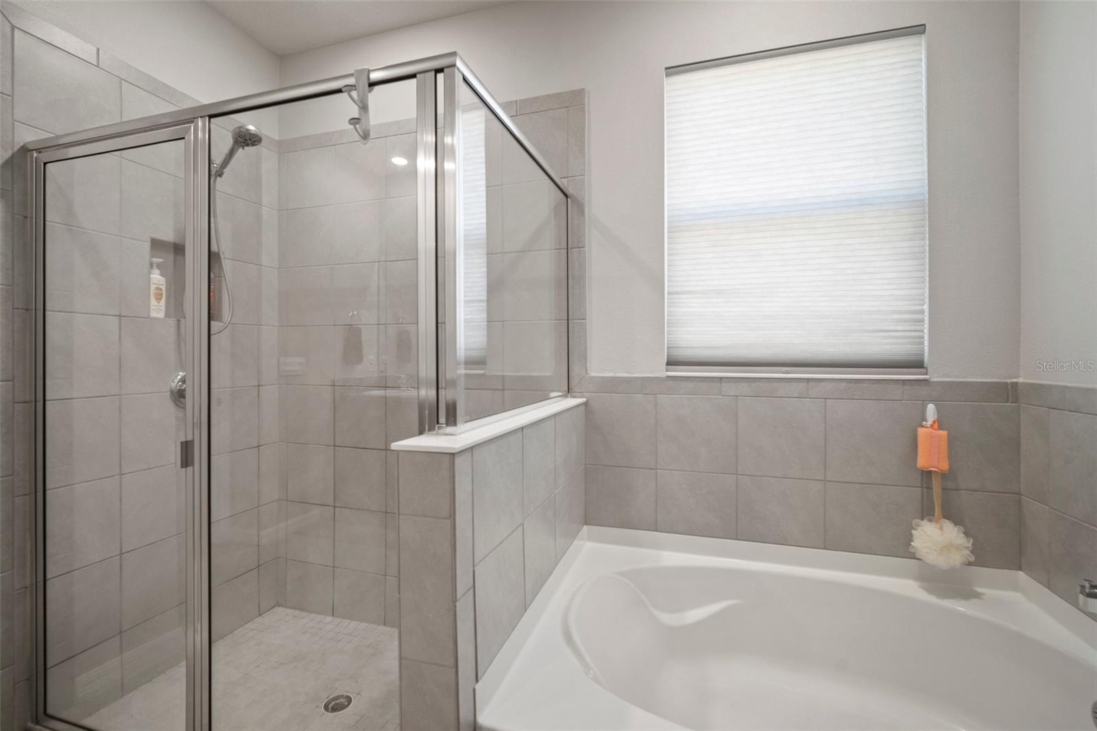 16784 GLACIER BAY LOOP, WIMAUMA, FL, 33598