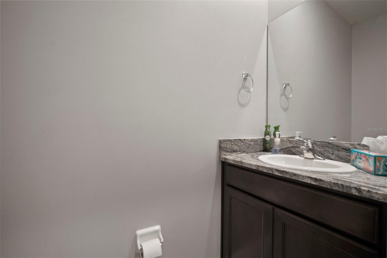 16784 GLACIER BAY LOOP, WIMAUMA, FL, 33598