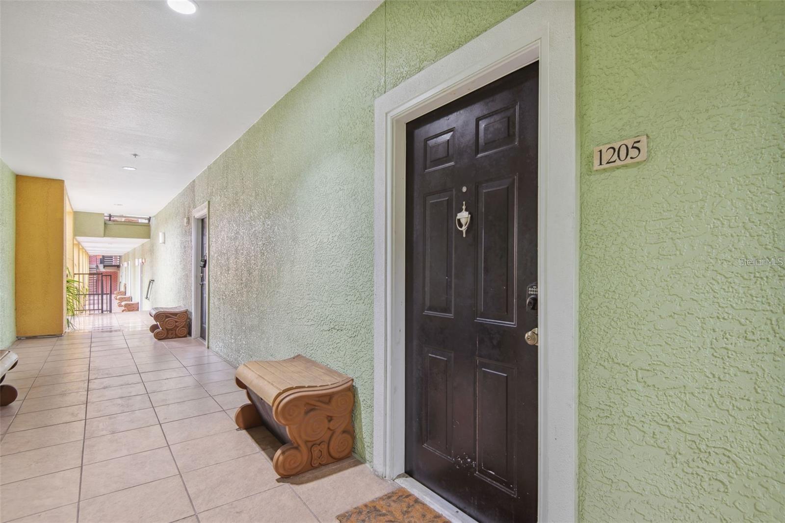 1810 E PALM AVE #1205, TAMPA, FL, 33605