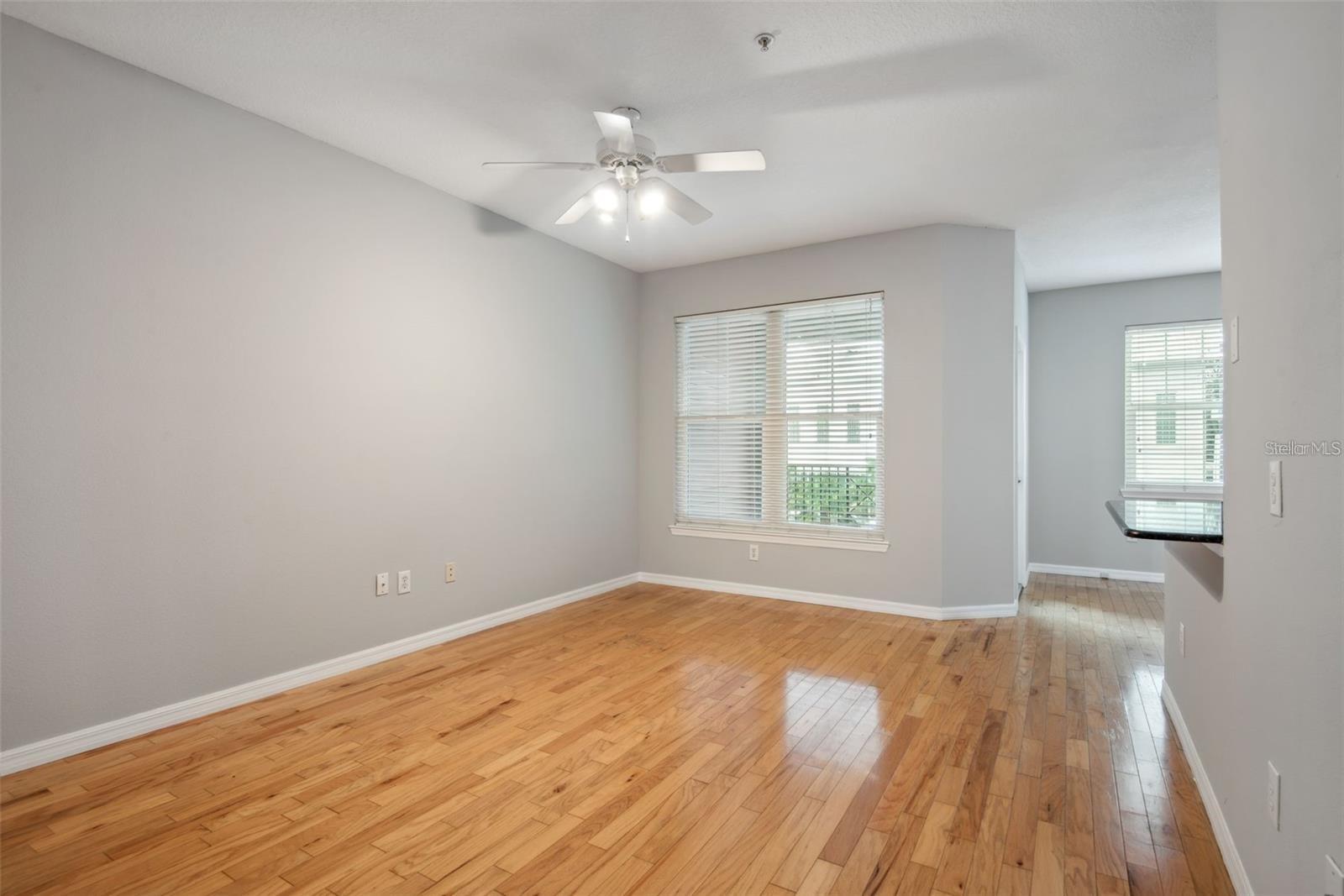 1810 E PALM AVE #1205, TAMPA, FL, 33605