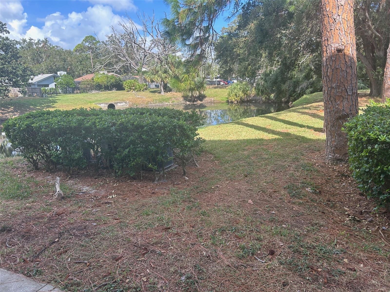 3038 EASTLAND BLVD #F102, CLEARWATER, FL, 33761