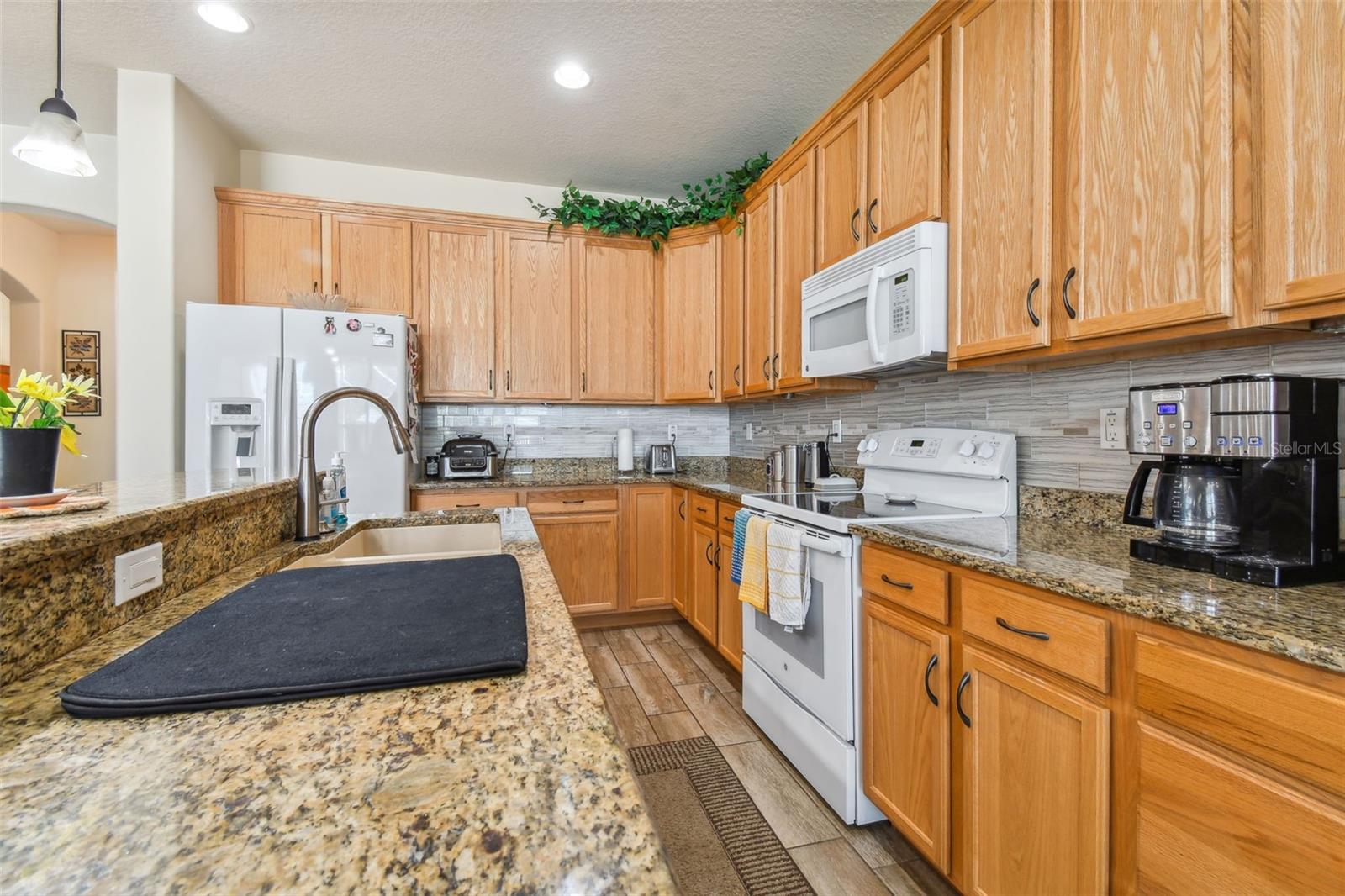 14638 STRATHGLASS DR, HUDSON, FL, 34667