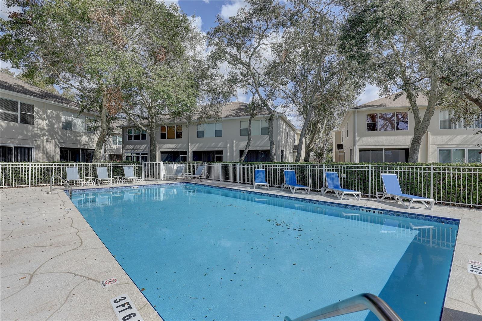 3663 COUNTRY POINTE PL, PALM HARBOR, FL, 34684