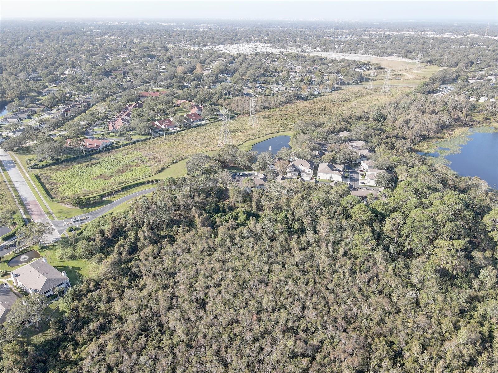 3663 COUNTRY POINTE PL, PALM HARBOR, FL, 34684