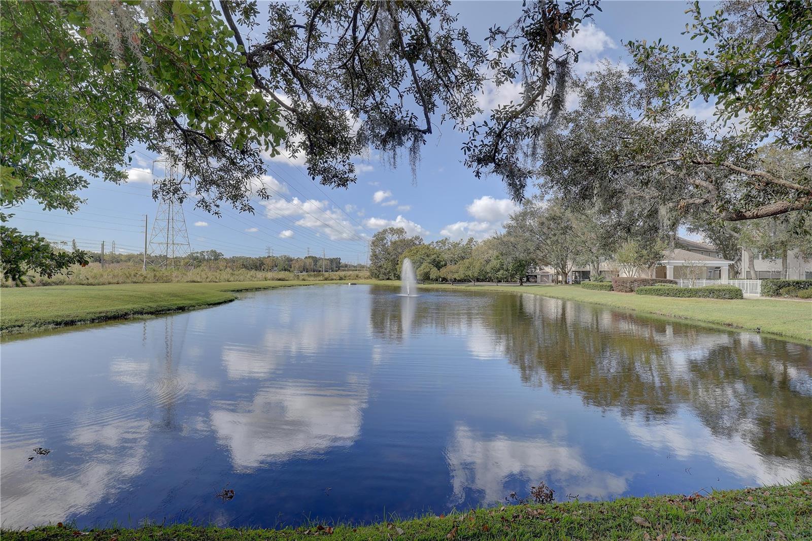 3663 COUNTRY POINTE PL, PALM HARBOR, FL, 34684