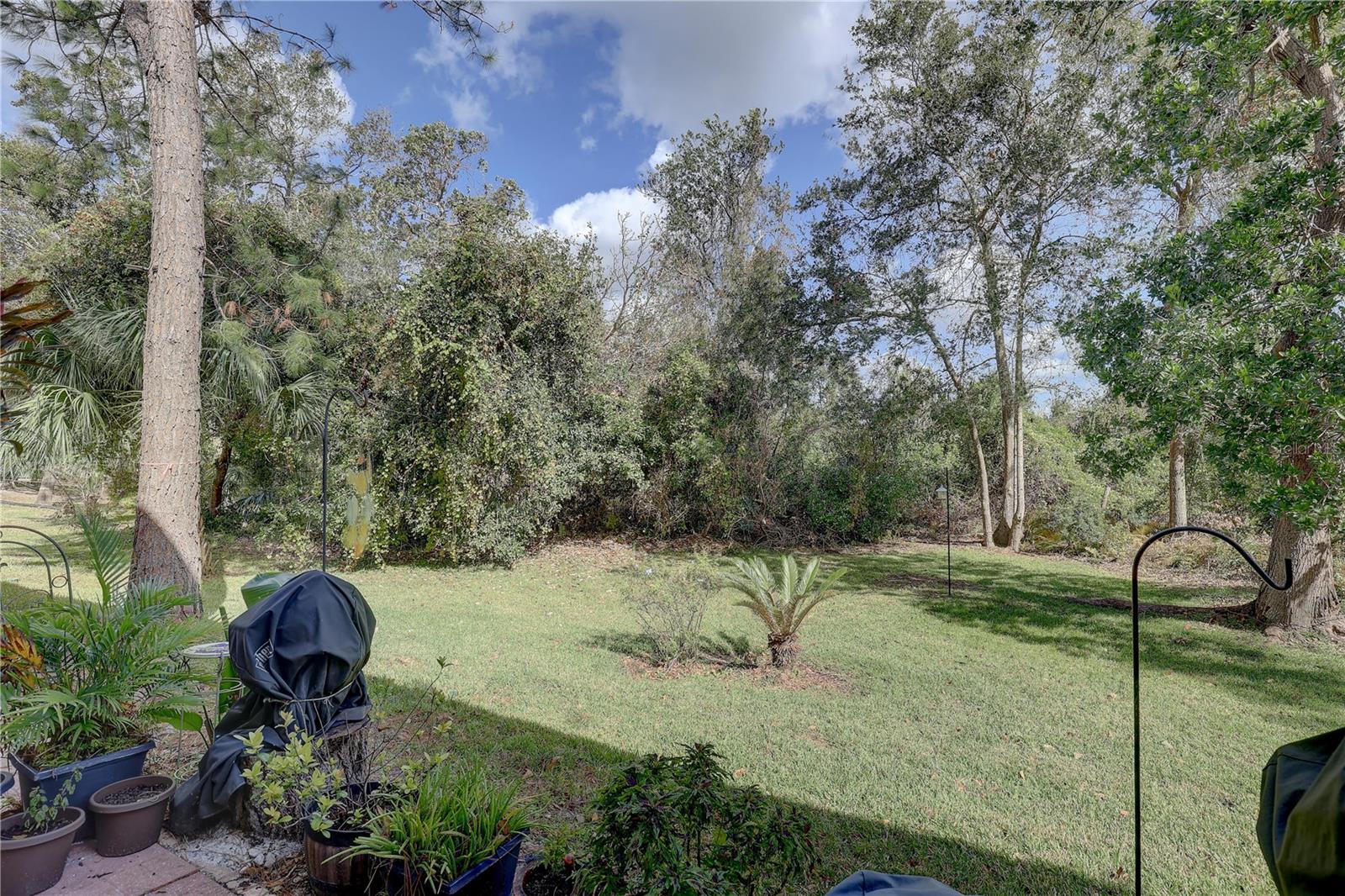 3663 COUNTRY POINTE PL, PALM HARBOR, FL, 34684