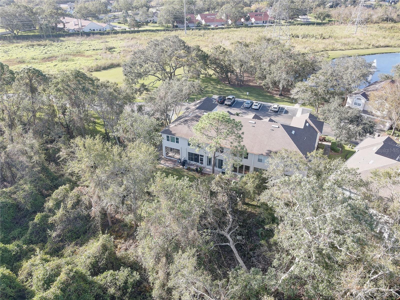 3663 COUNTRY POINTE PL, PALM HARBOR, FL, 34684