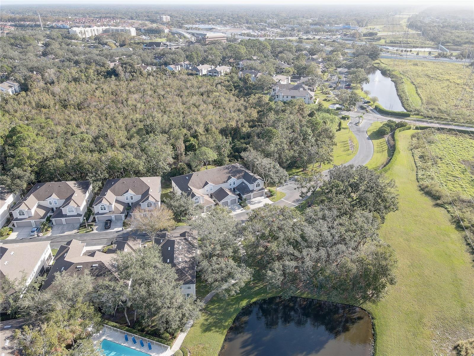 3663 COUNTRY POINTE PL, PALM HARBOR, FL, 34684